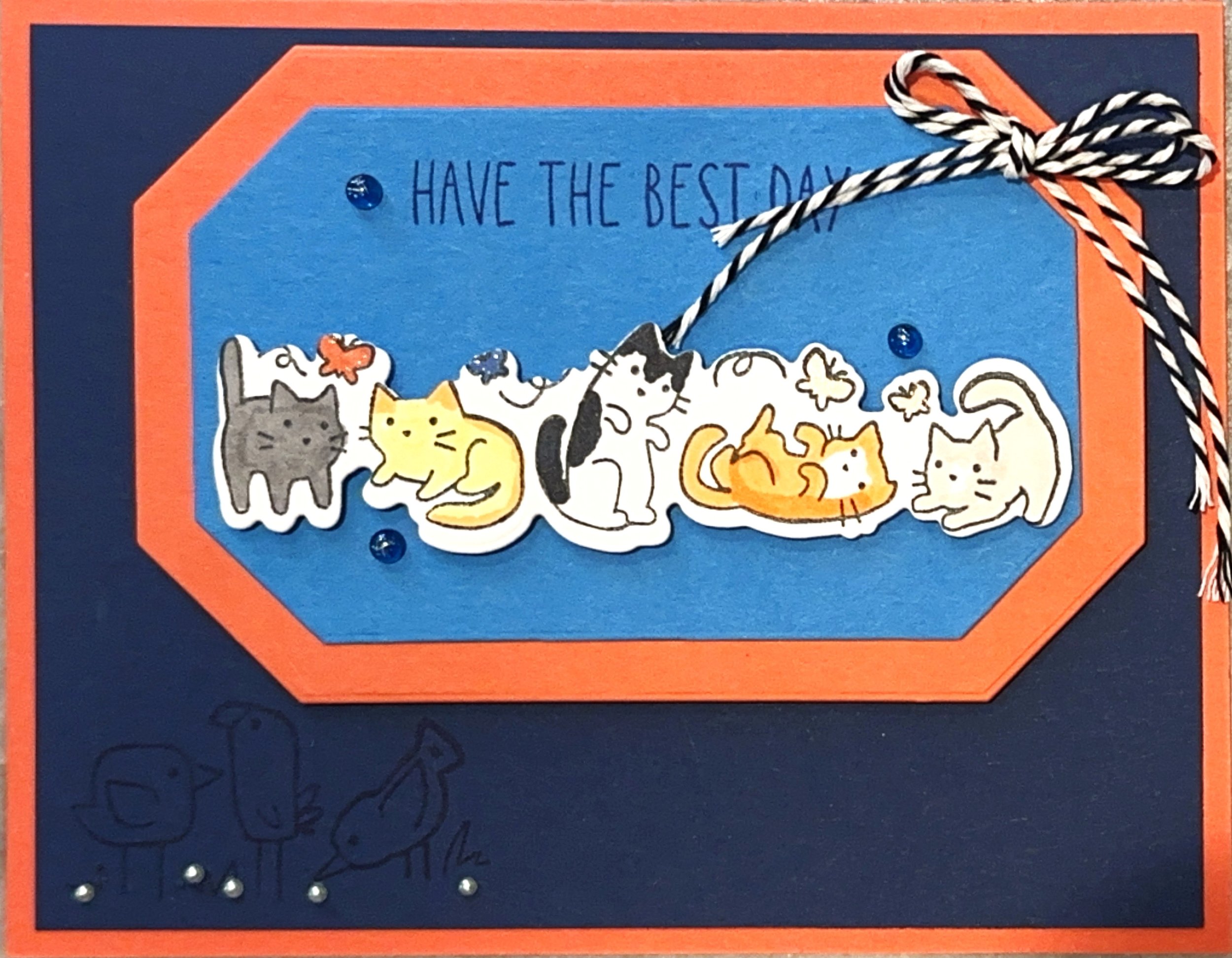 Cutet Crew_Cats_Navy & Orange.JPG