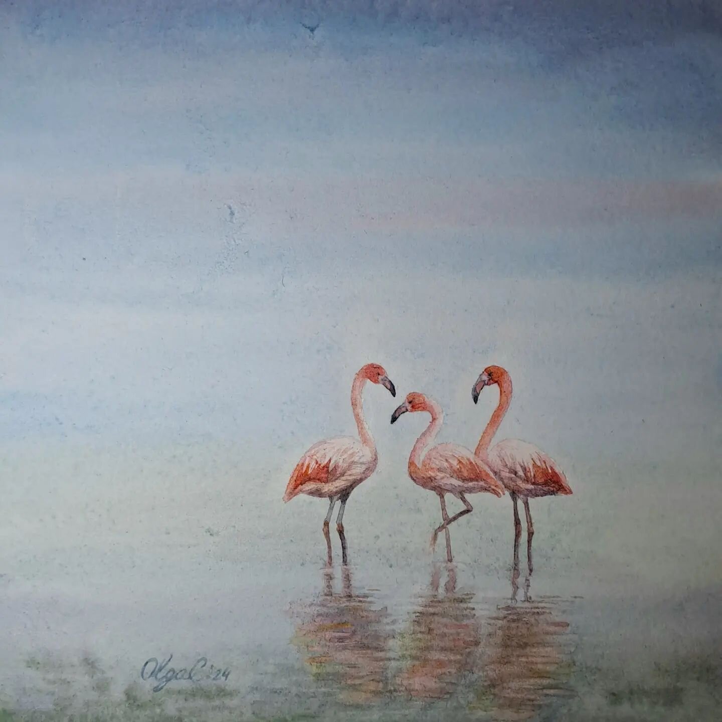 One time one of my little students said that her favourite bird is flamingo and that stirret my interest for this bird! Elegant and a bit extravagant!
#watercolorseascape #flamingo #flamingopainting #flamingowallart