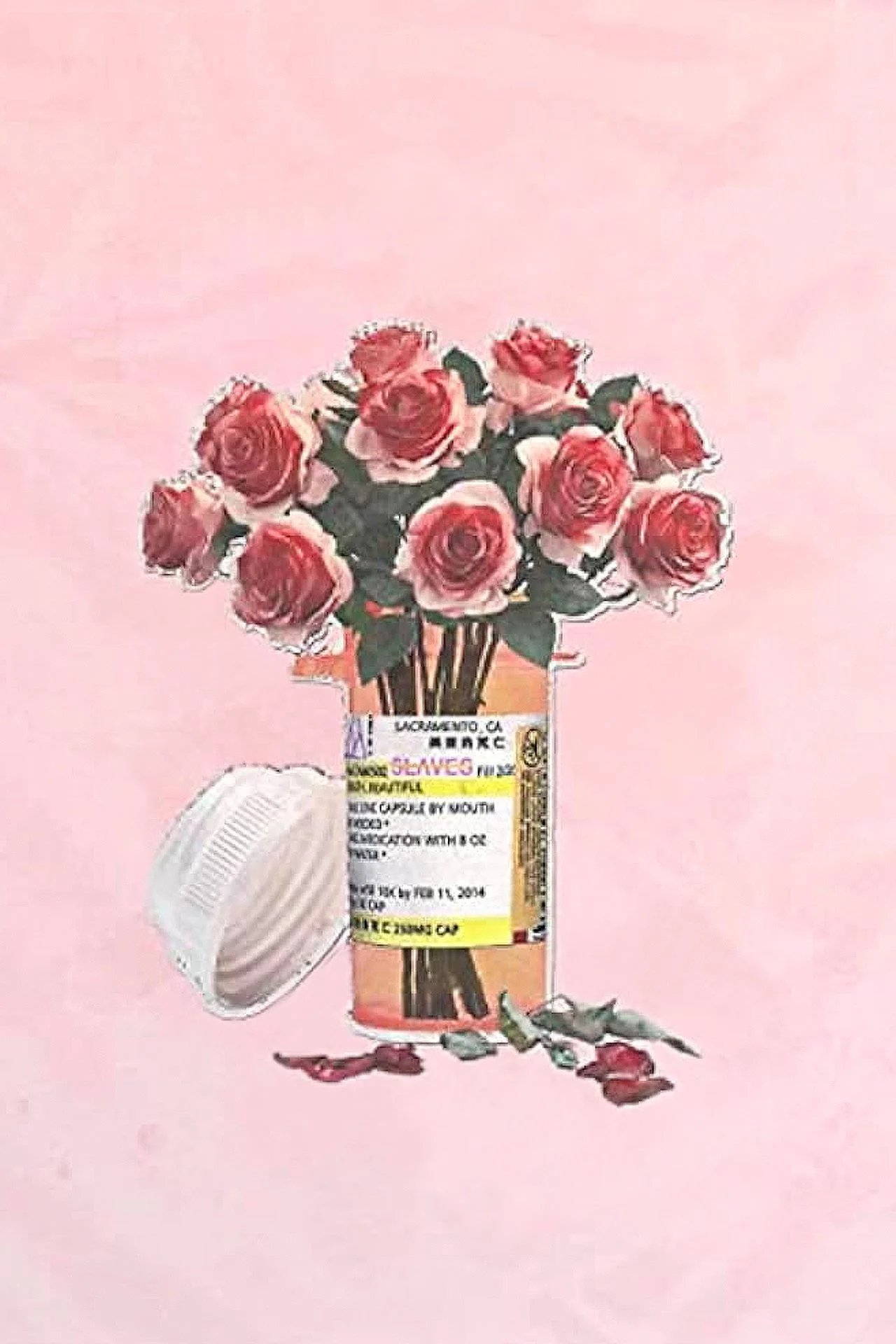 “I’d Rather See Your Star Explode” by Slaves