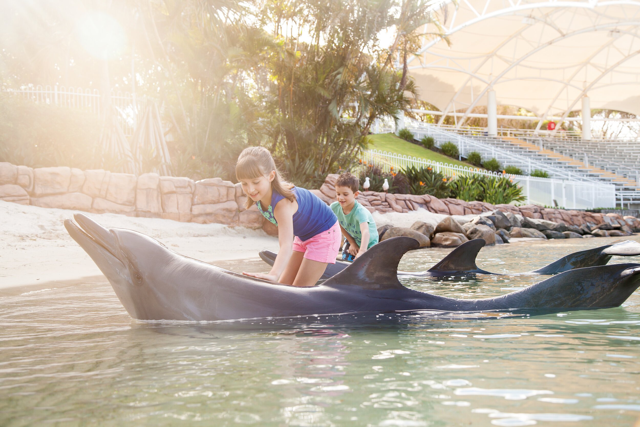 SWR_Dolphin_Kids_400dpi_F39.jpeg