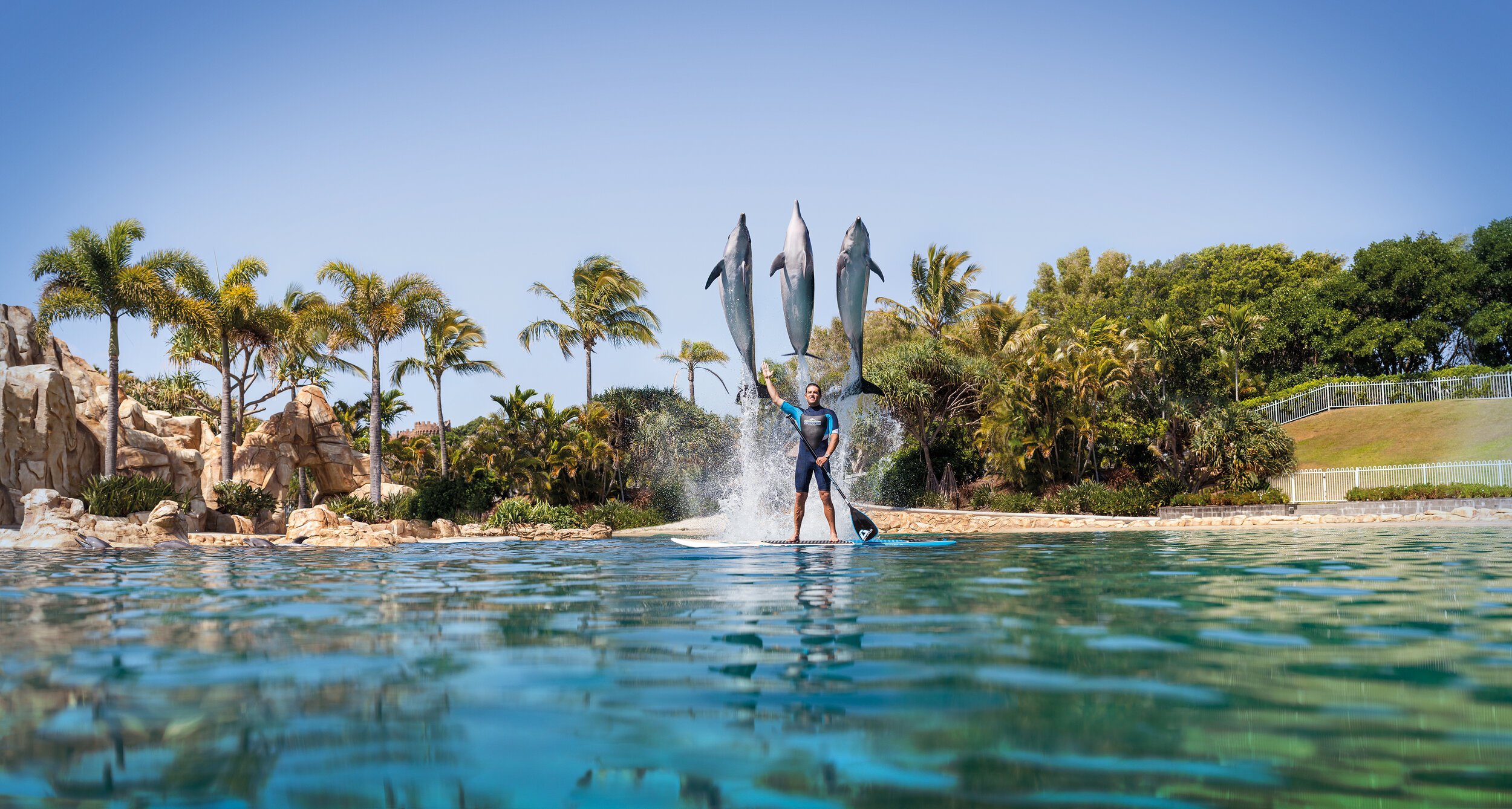 SW_Dolphin_Paddleboard_Panorama2-High_60x115_300dpi_F39.jpeg