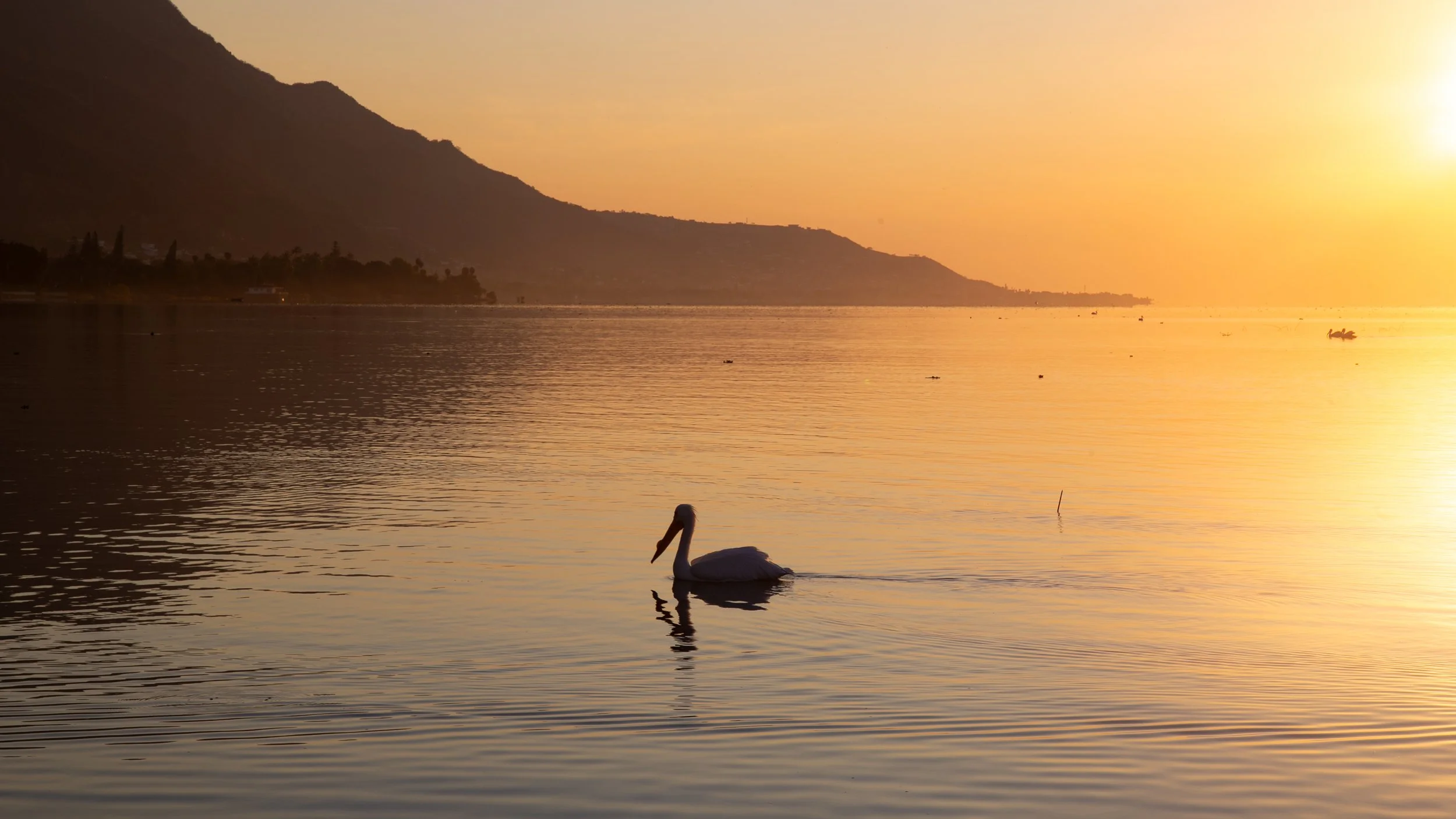 Traveling to Say Goodbye.