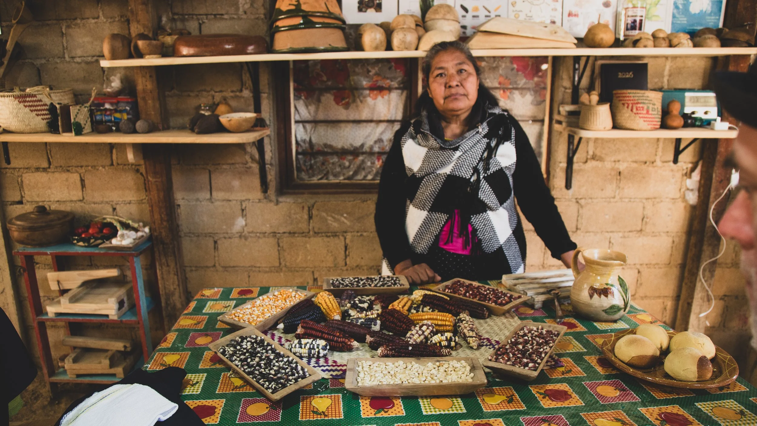 oaxaca-131.jpg