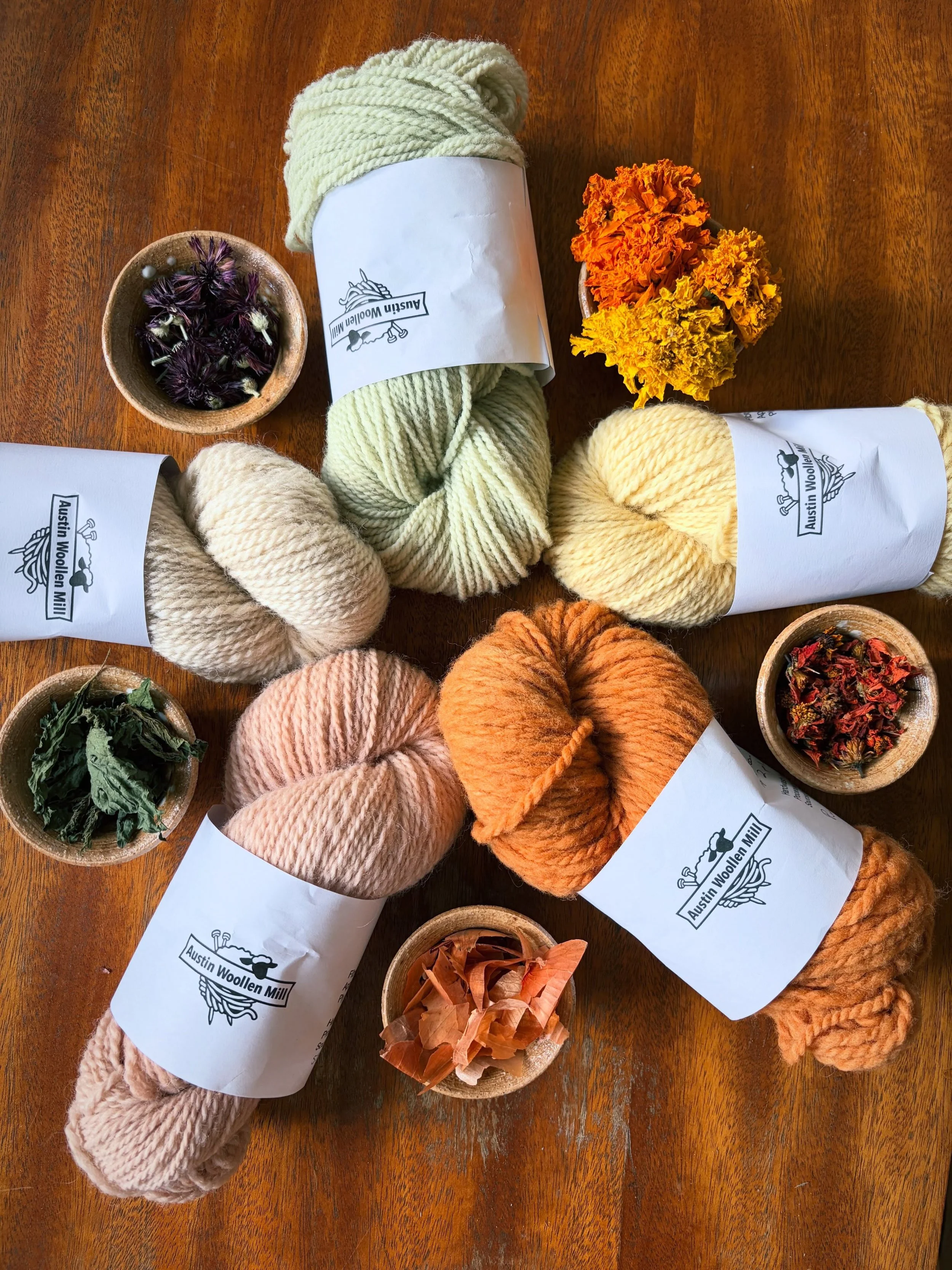 Natural Dyeing Workshop
