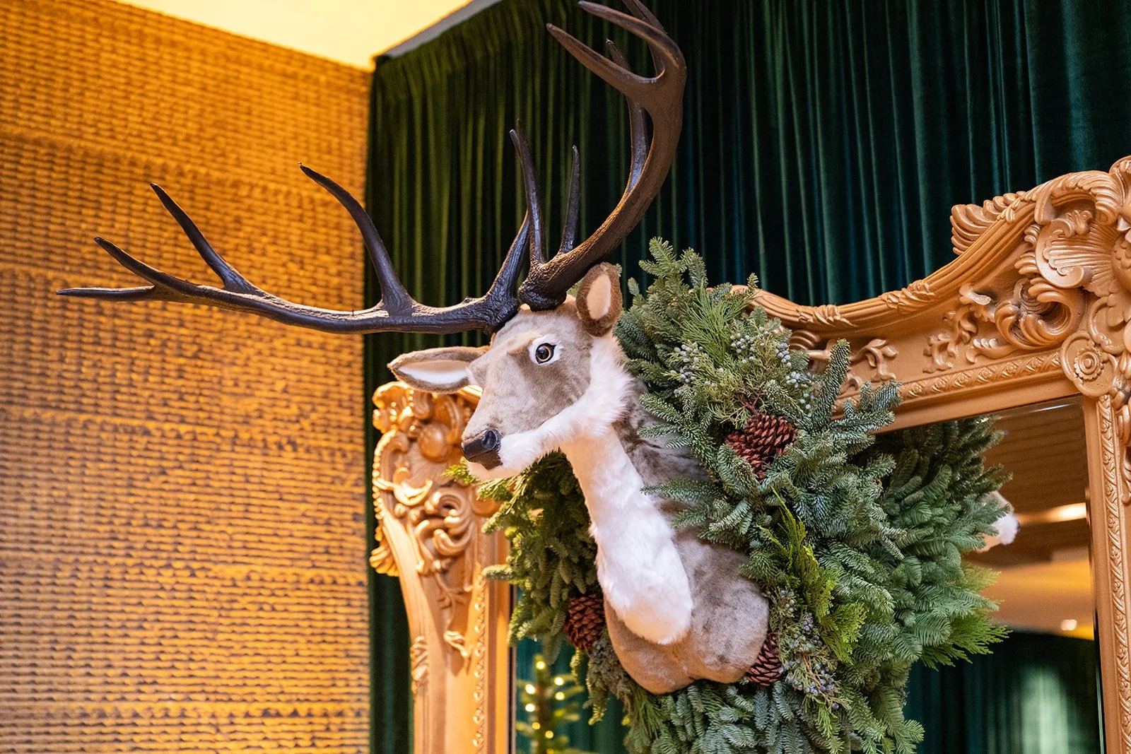 11.15.2025_145031_websize (1).jpg