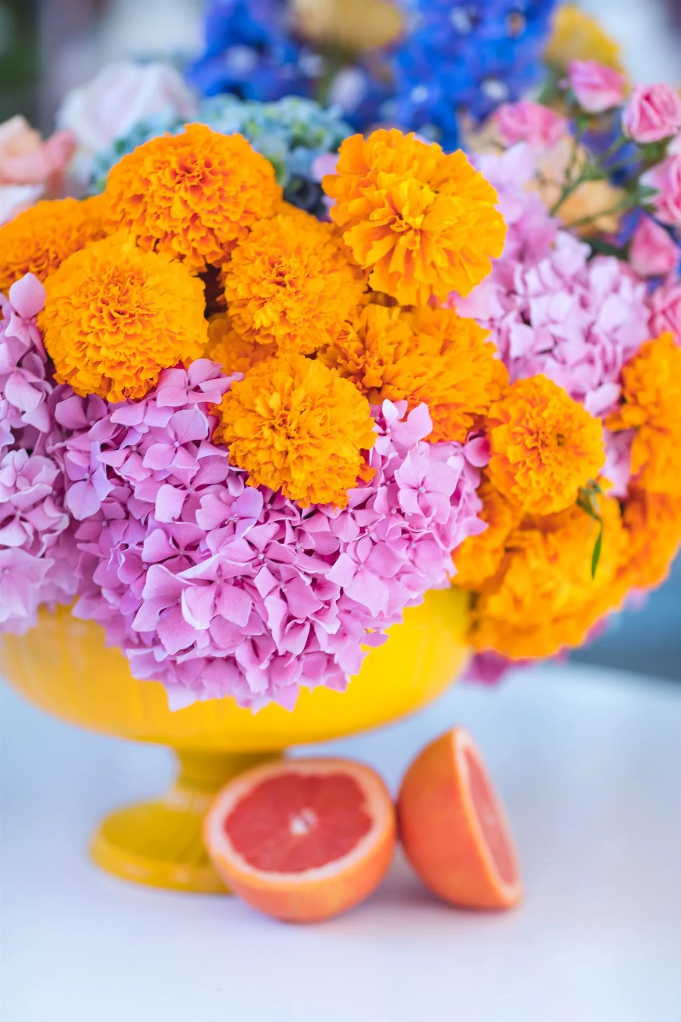 Lucca @davidjonphotography-AAM_6231_websize.jpg