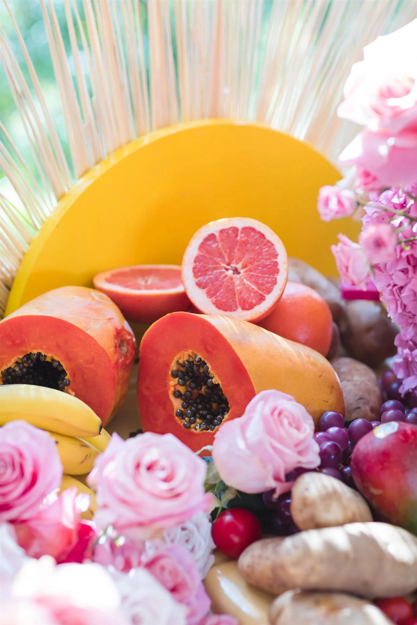 Lucca @davidjonphotography-AAM_6259_websize.jpg