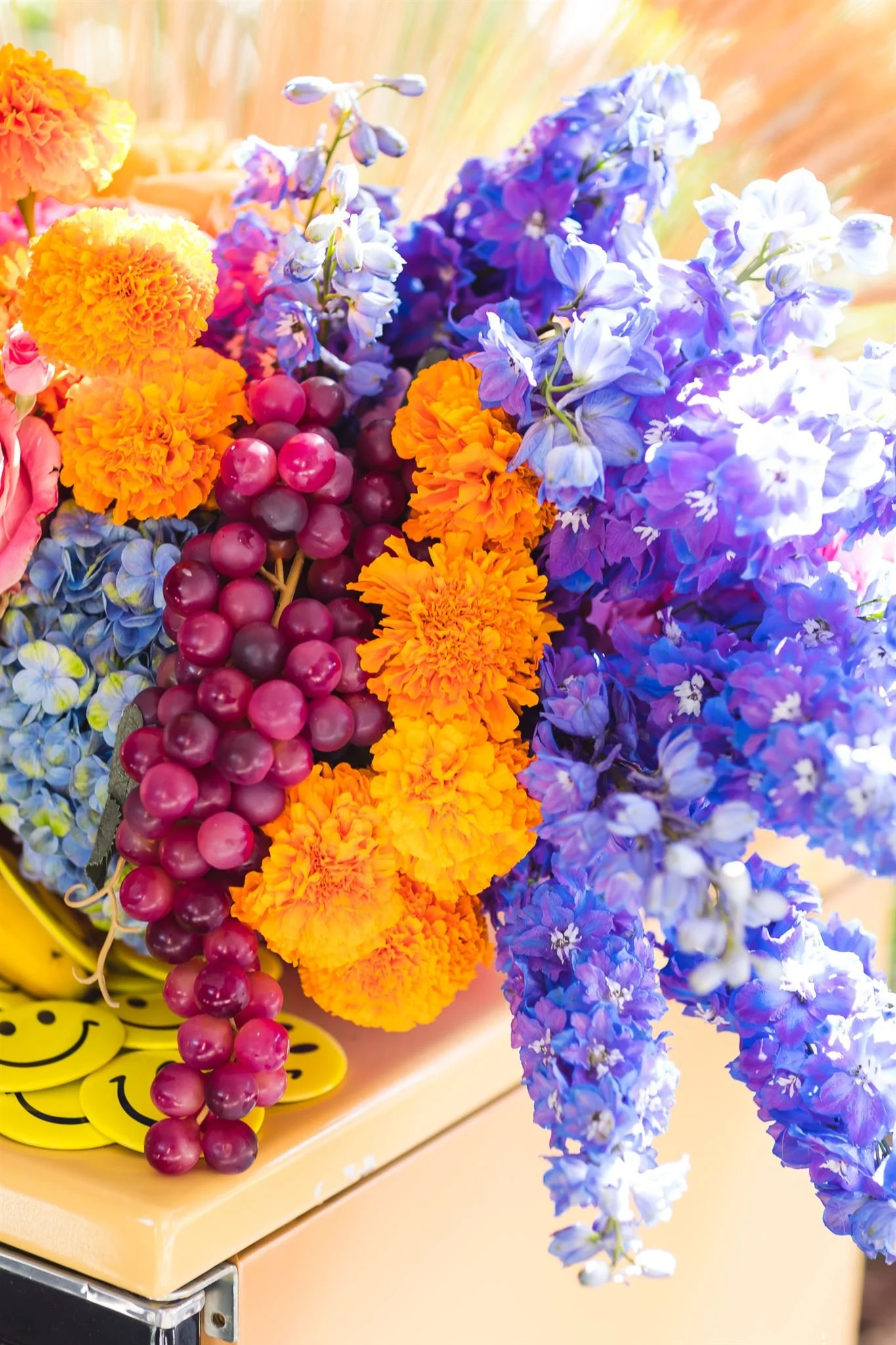 Lucca @davidjonphotography-AAM_6264_websize.jpg