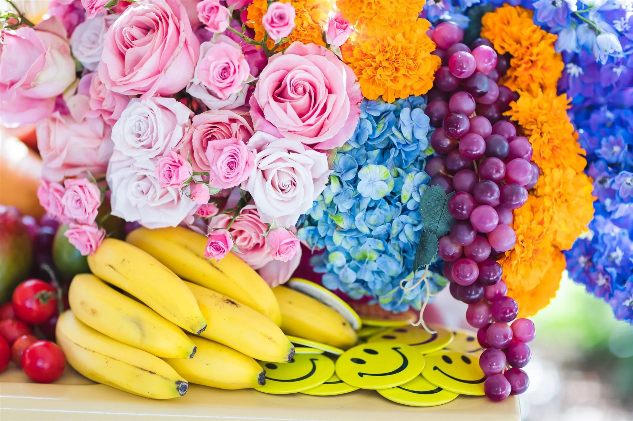 Lucca @davidjonphotography-AAM_6258_websize.jpg