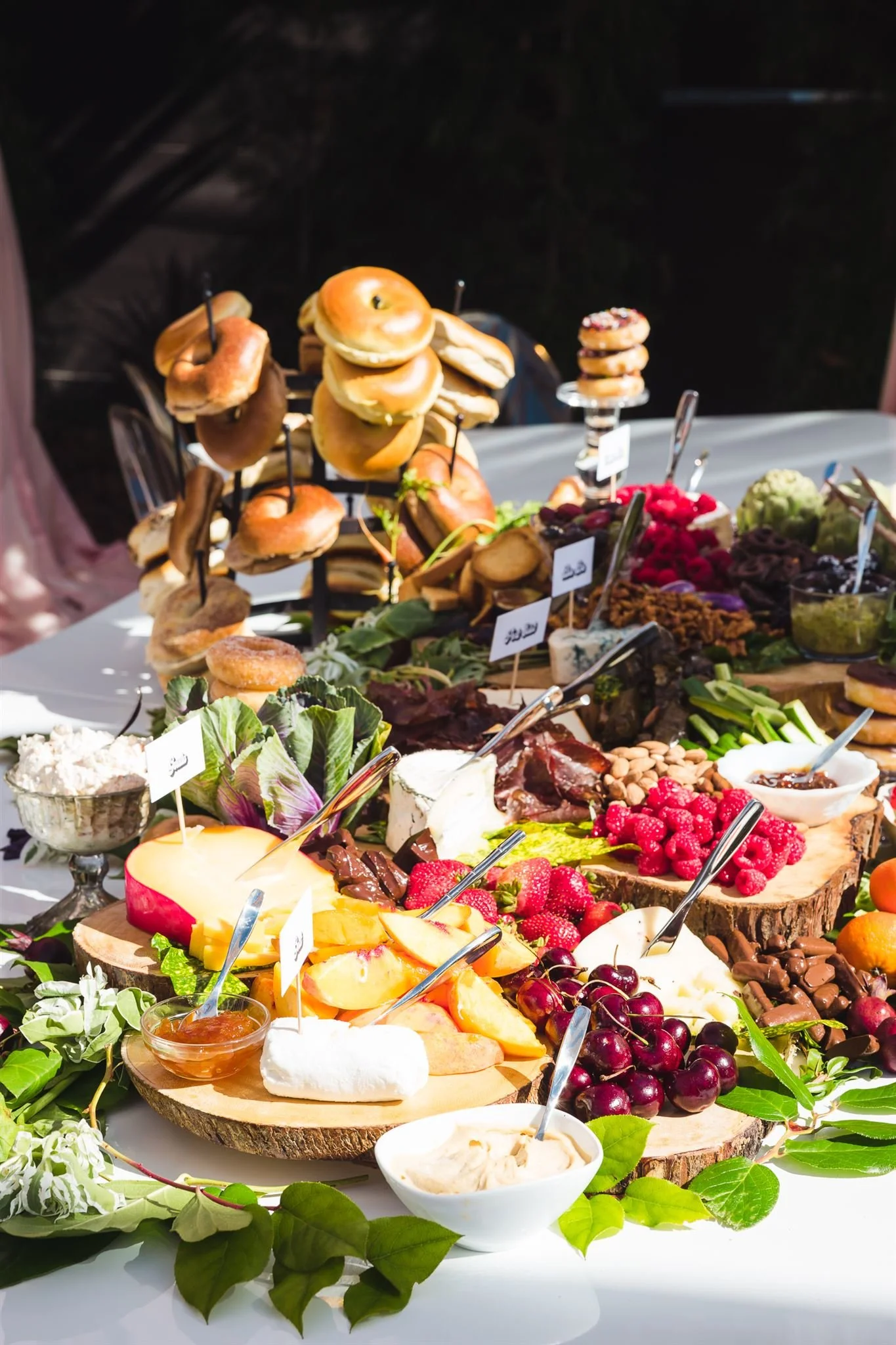 Lucca @davidjonphotography-DJPR1778_websize.jpg