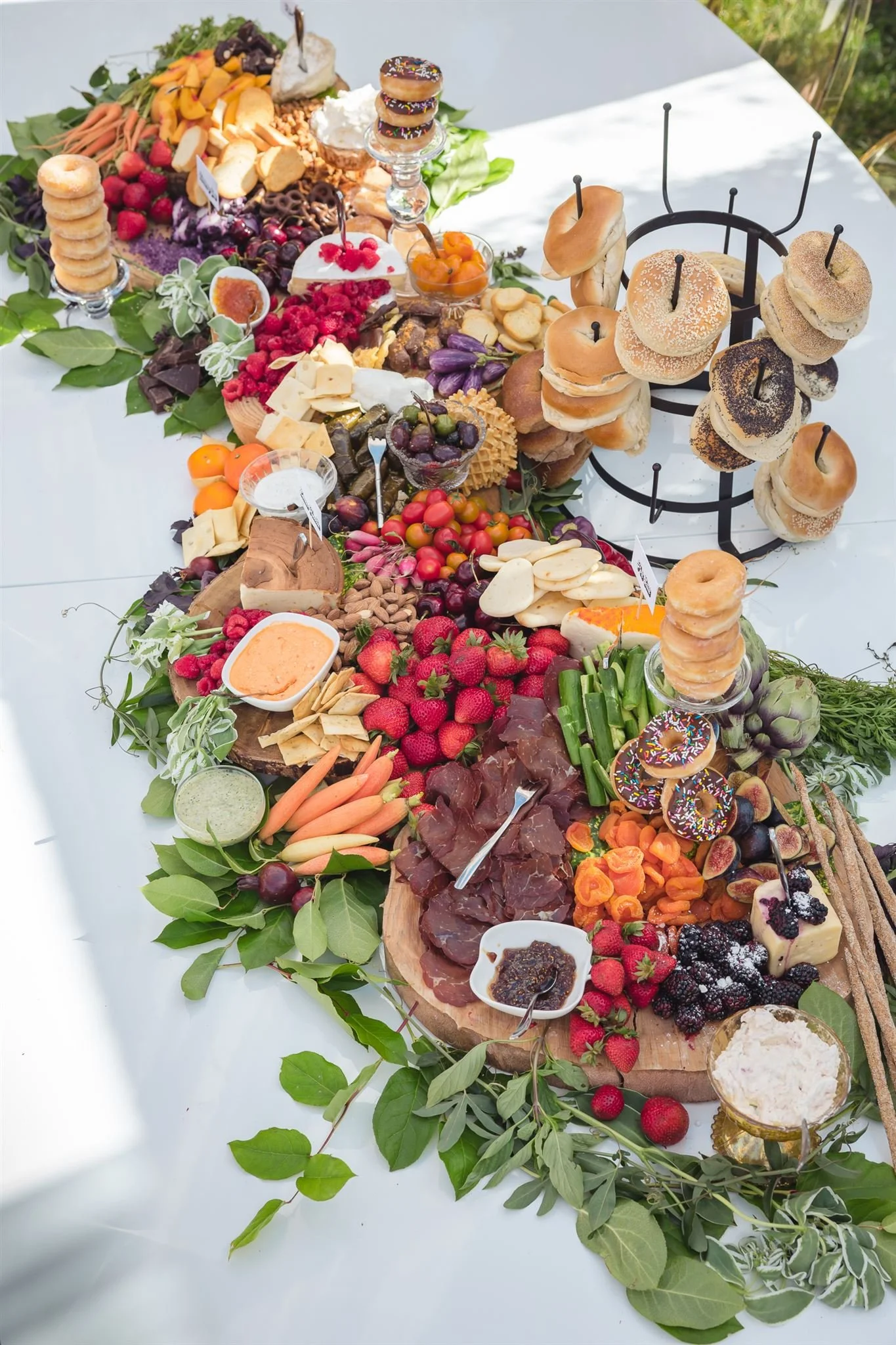 Lucca @davidjonphotography-DJPR1718_websize.jpg