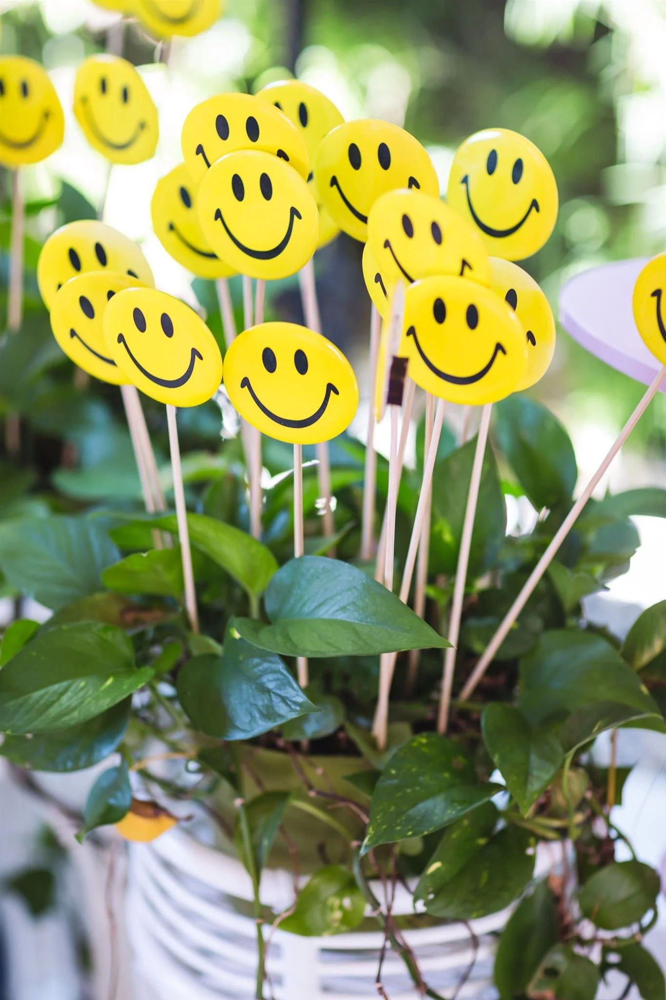 Lucca @davidjonphotography-AAM_6252_websize.jpg