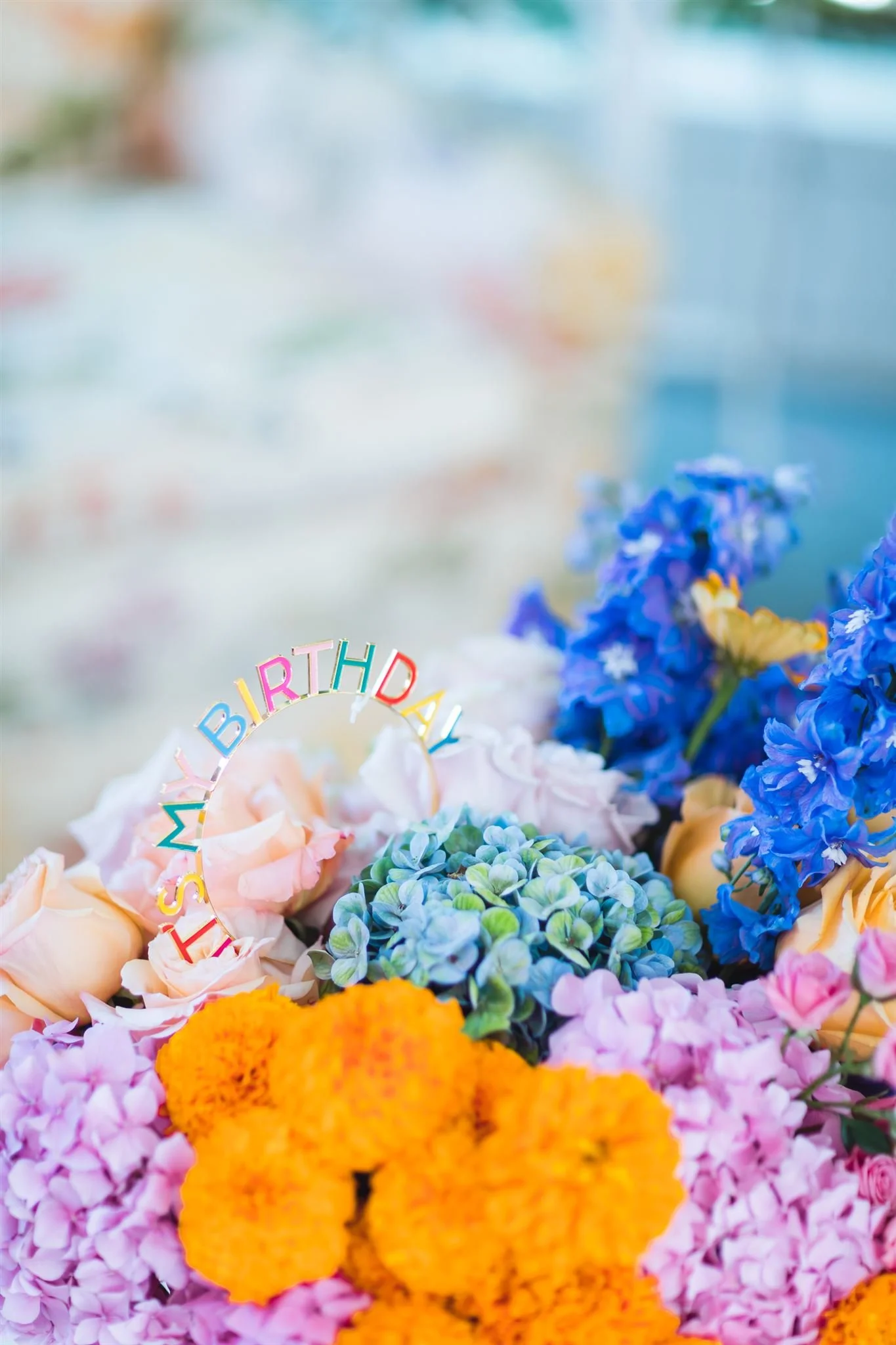 Lucca @davidjonphotography-AAM_6348_websize.jpg