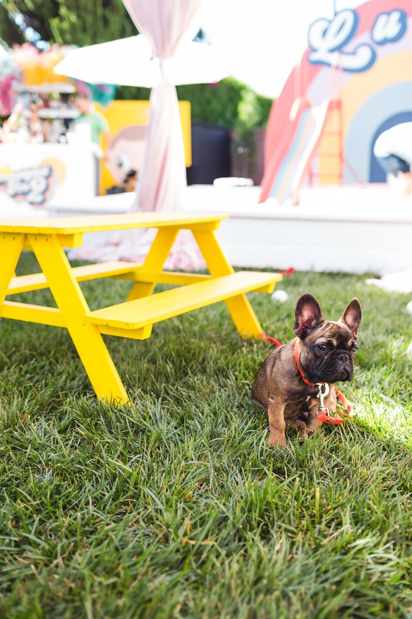 Lucca @davidjonphotography-AAM_6393_websize.jpg