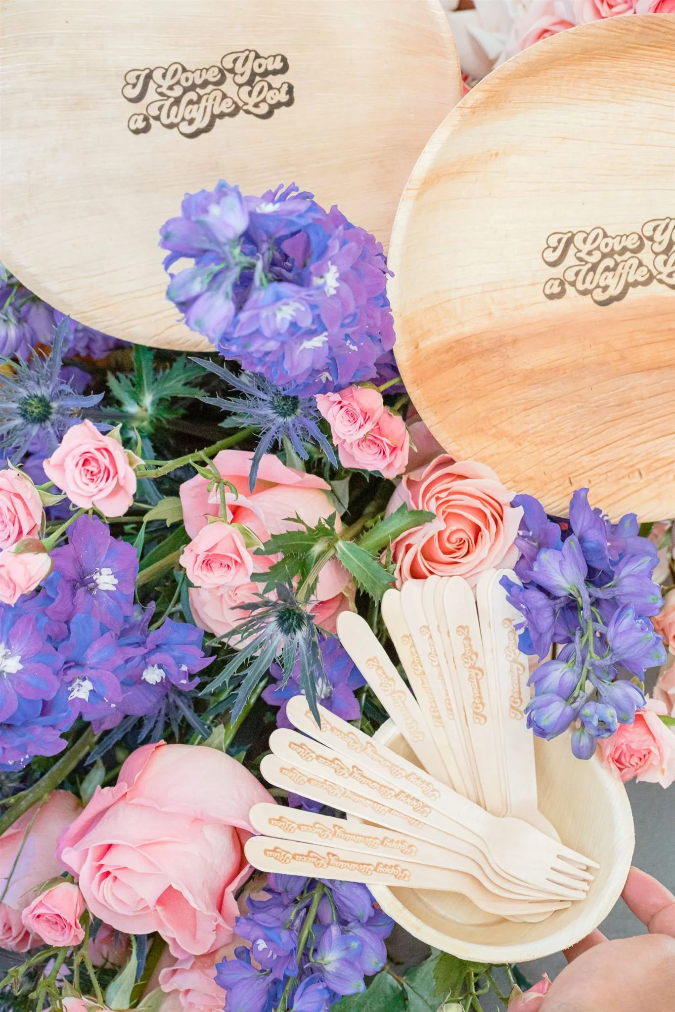 Lucca @davidjonphotography-DJPR2332_websize.jpg