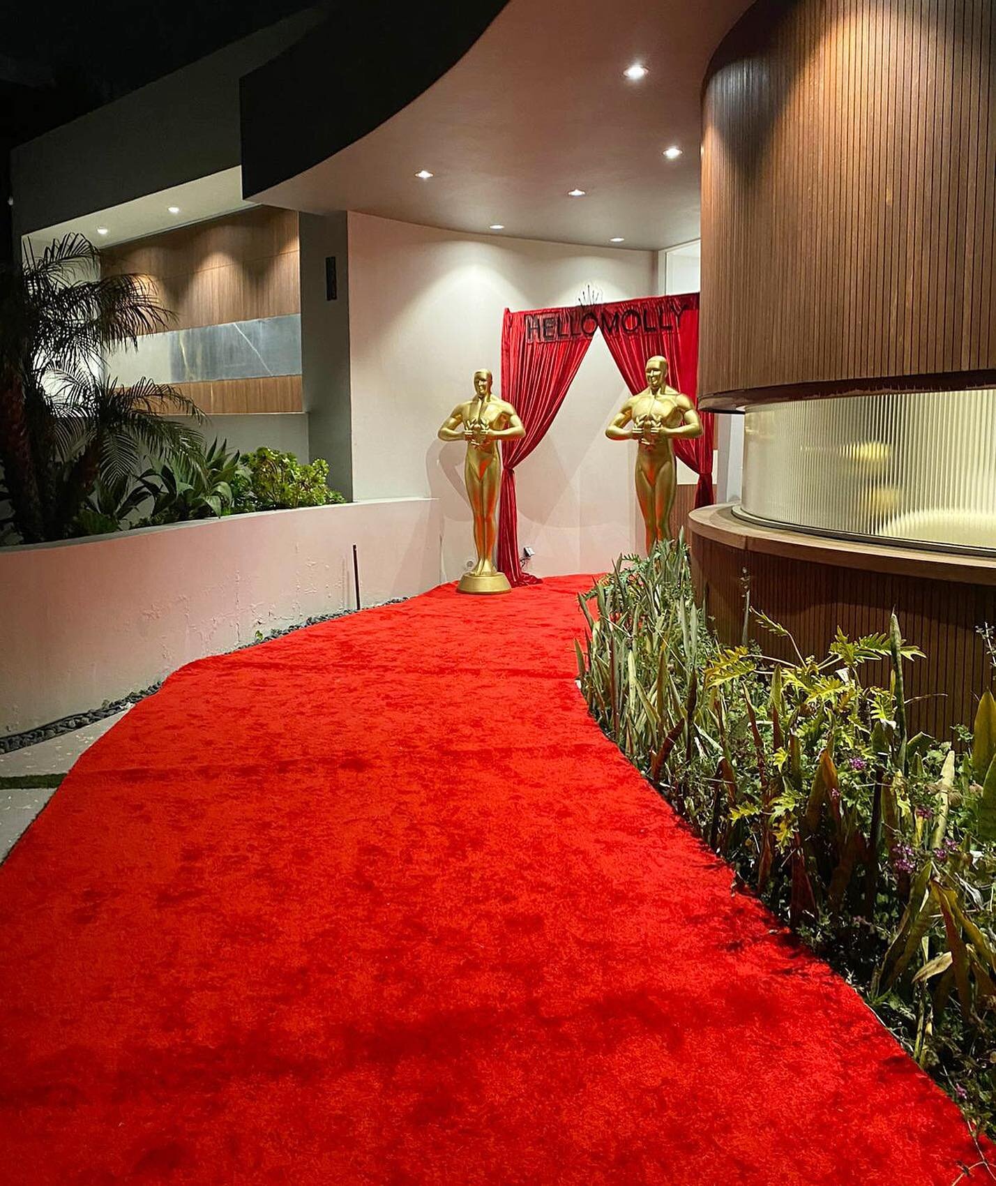 This event for @hellomolly deserved some red carpet recognition! Oscar parties get better every year and we are here to help them do it. 

#thewotp #wifeoftheparty #oscarsunday #academyawards #redcarpet #hellomolly #fashion