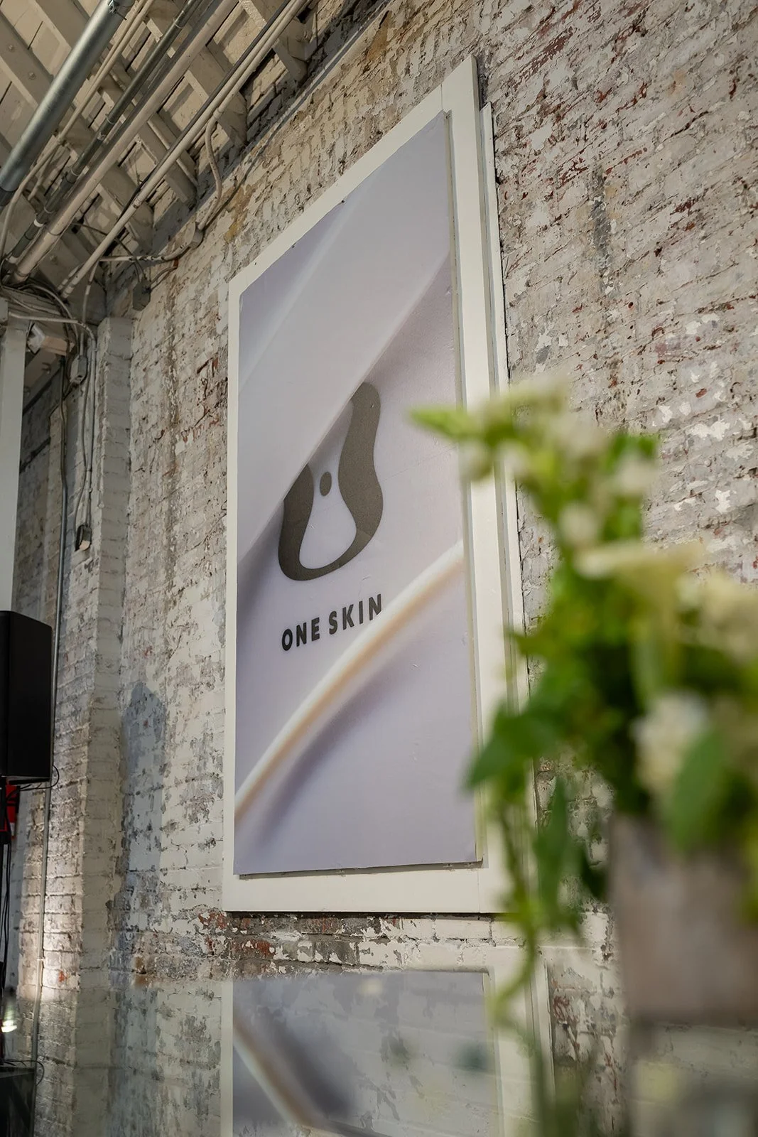 Wall displays for OneSkin Beauty Event in Los Angeles produced by The Wife of the Party