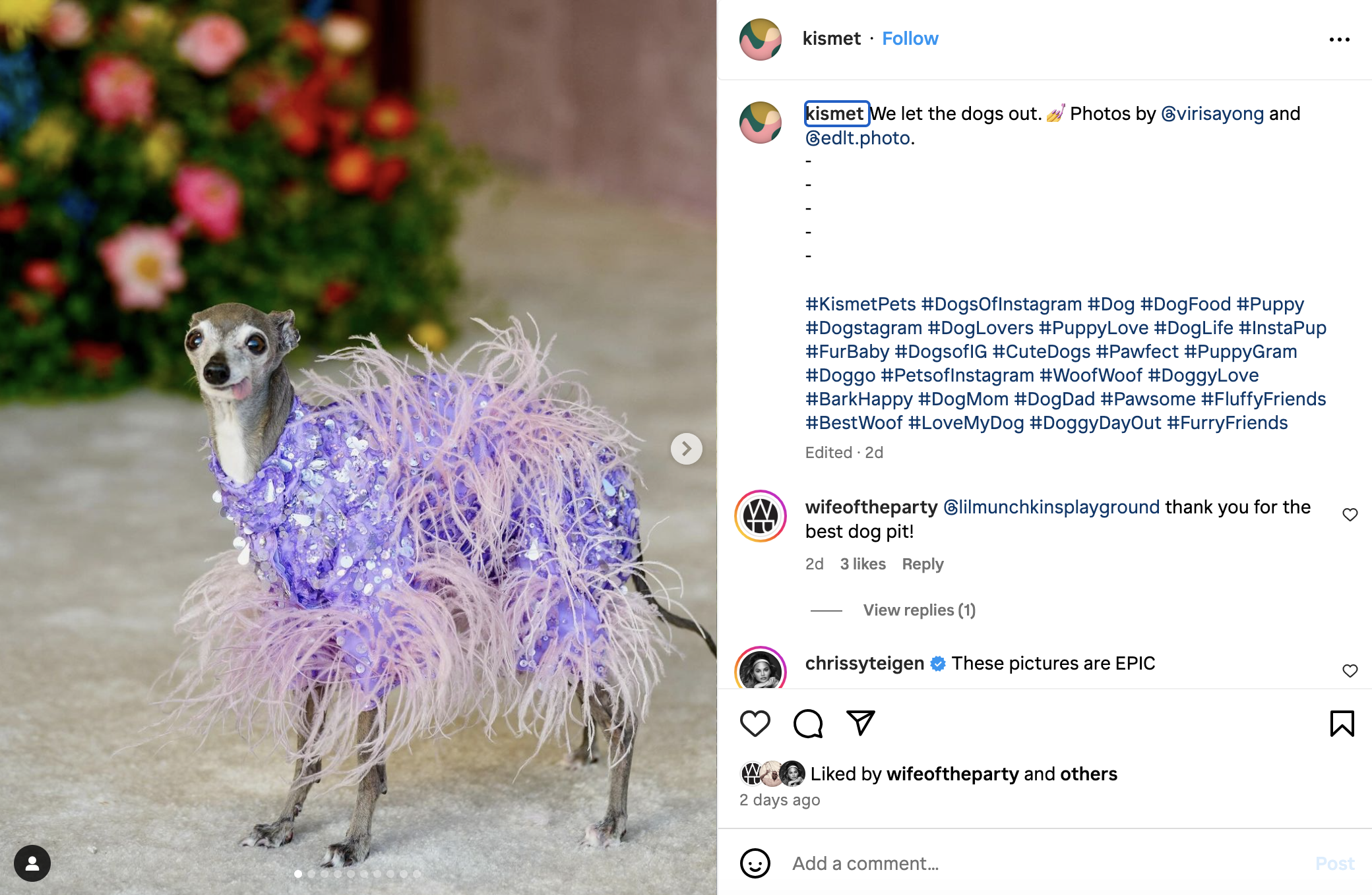 Screen Shot 2024-05-13 at 10.46.02 AM.png