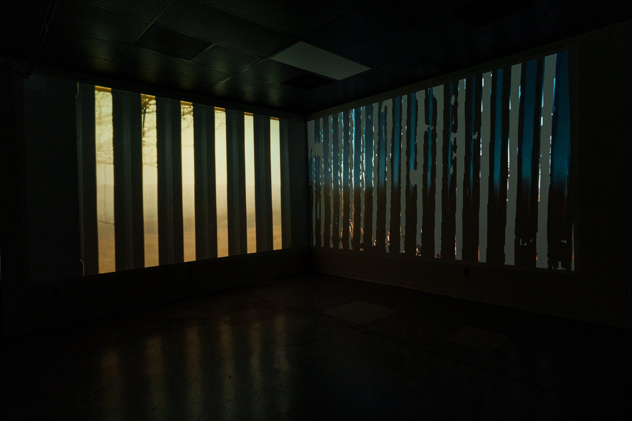 Installation view at the University of Arizona's Imaging Lab (2026)
