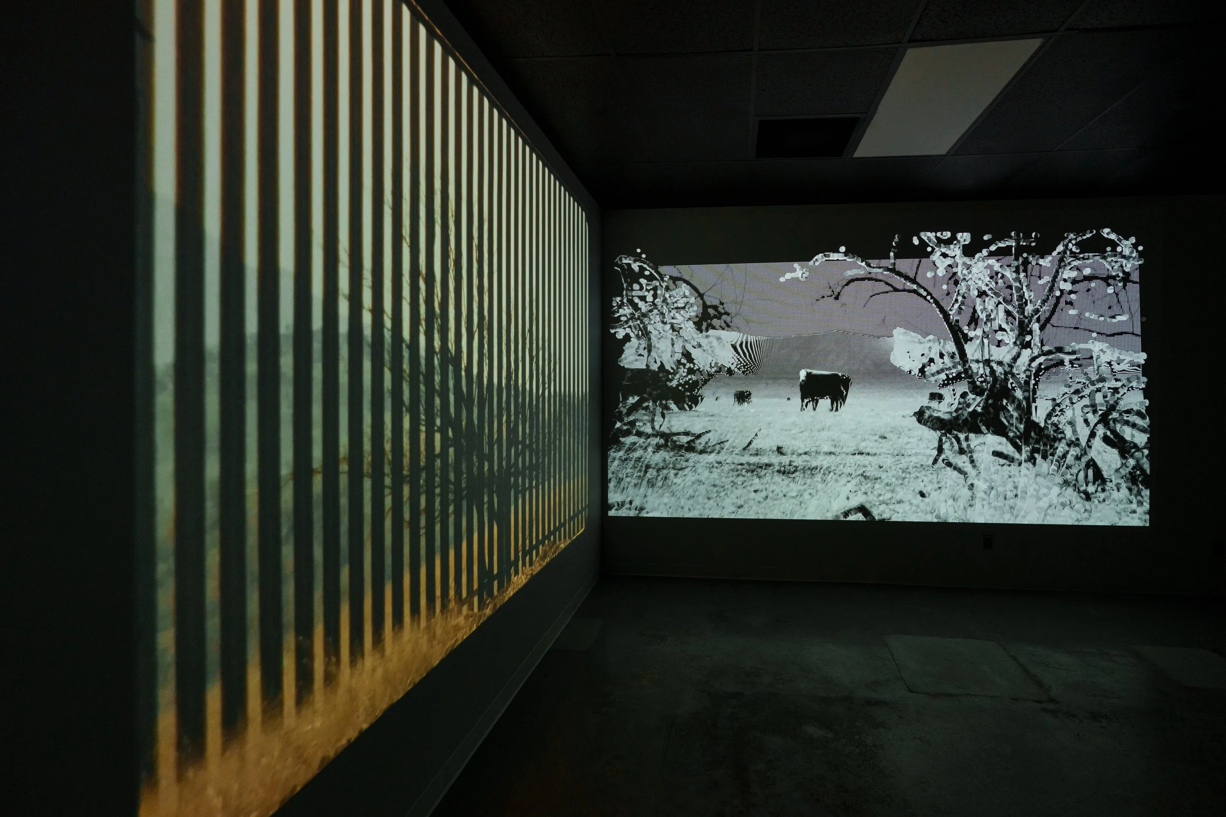 Installation view at the University of Arizona's Imaging Lab (2026)