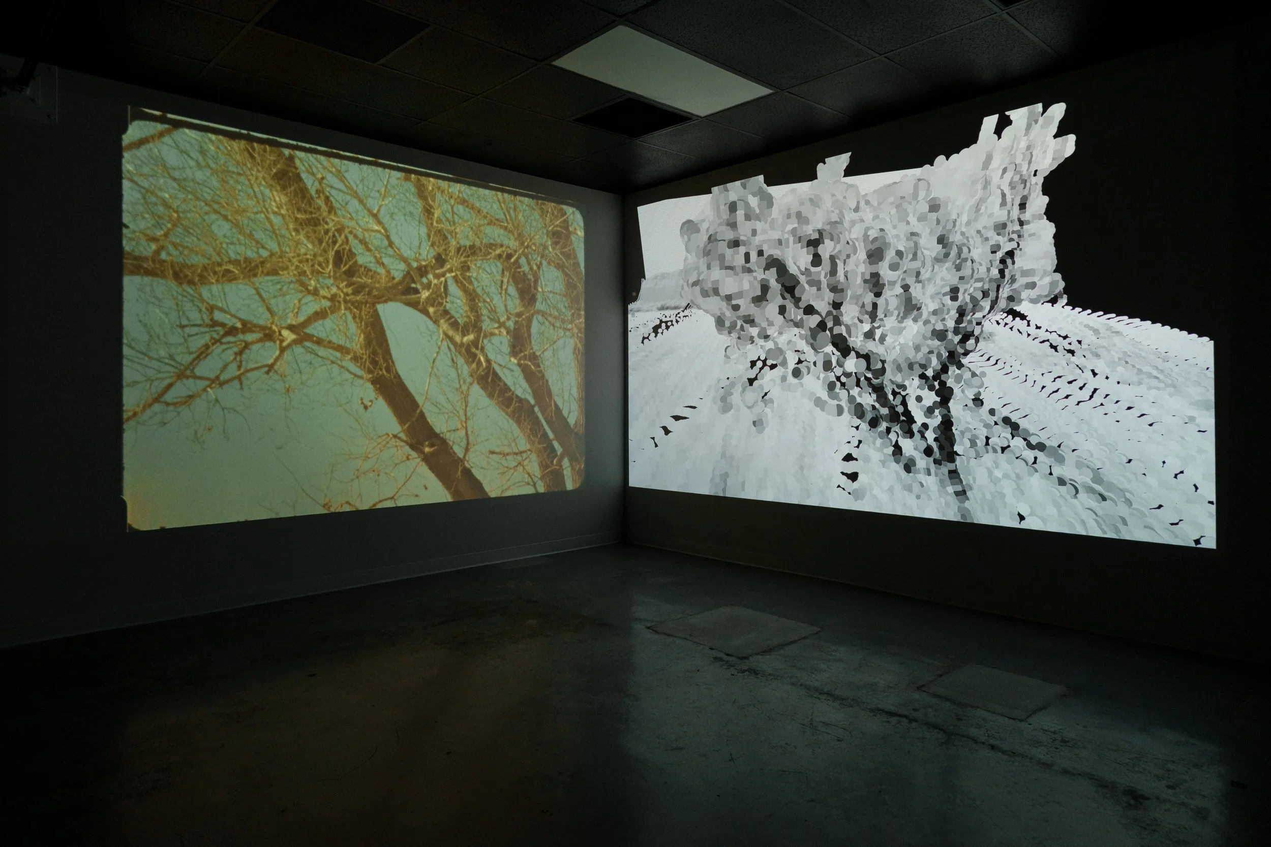 Installation view at the University of Arizona's Imaging Lab (2026)