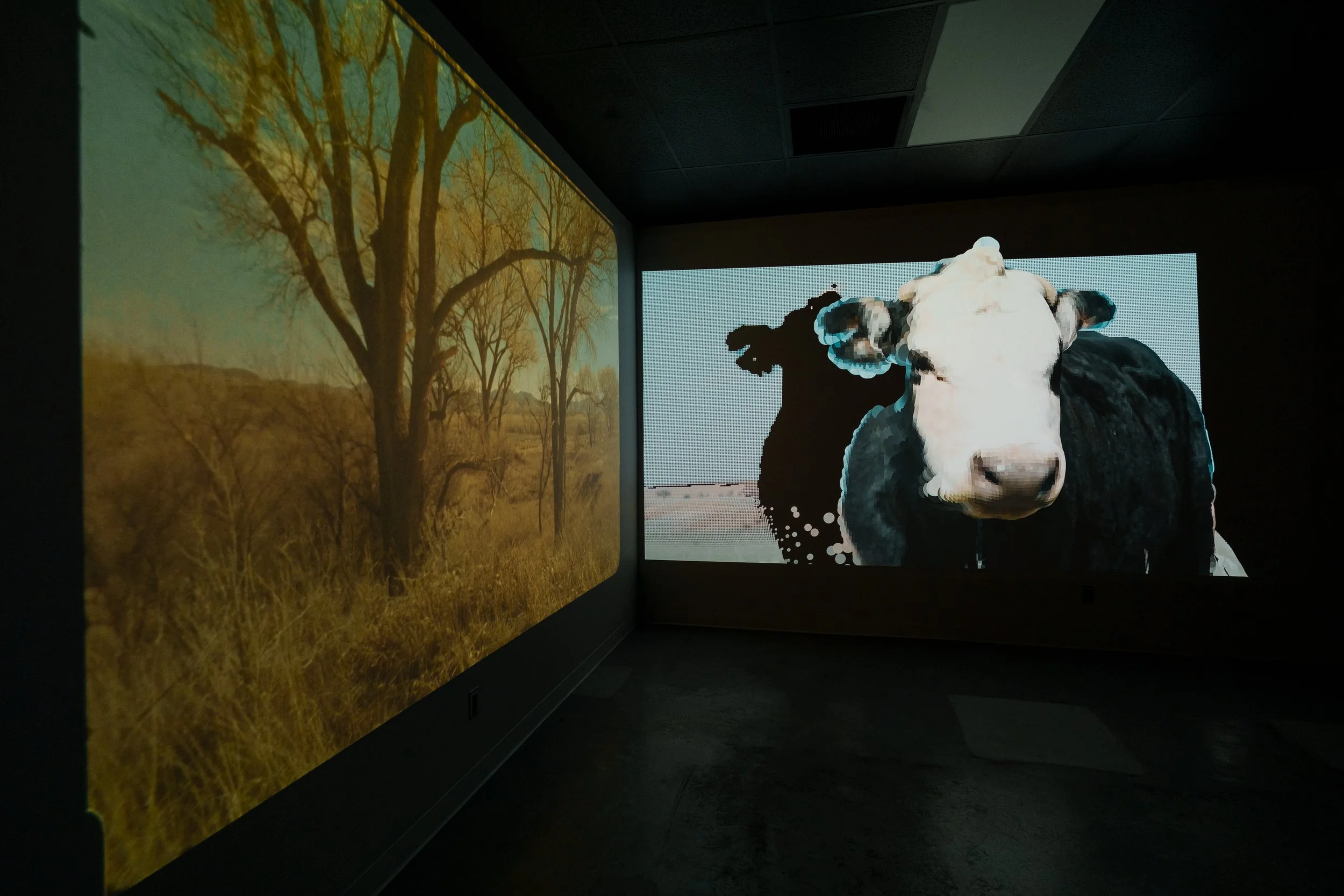 Installation view at the University of Arizona's Imaging Lab (2026)