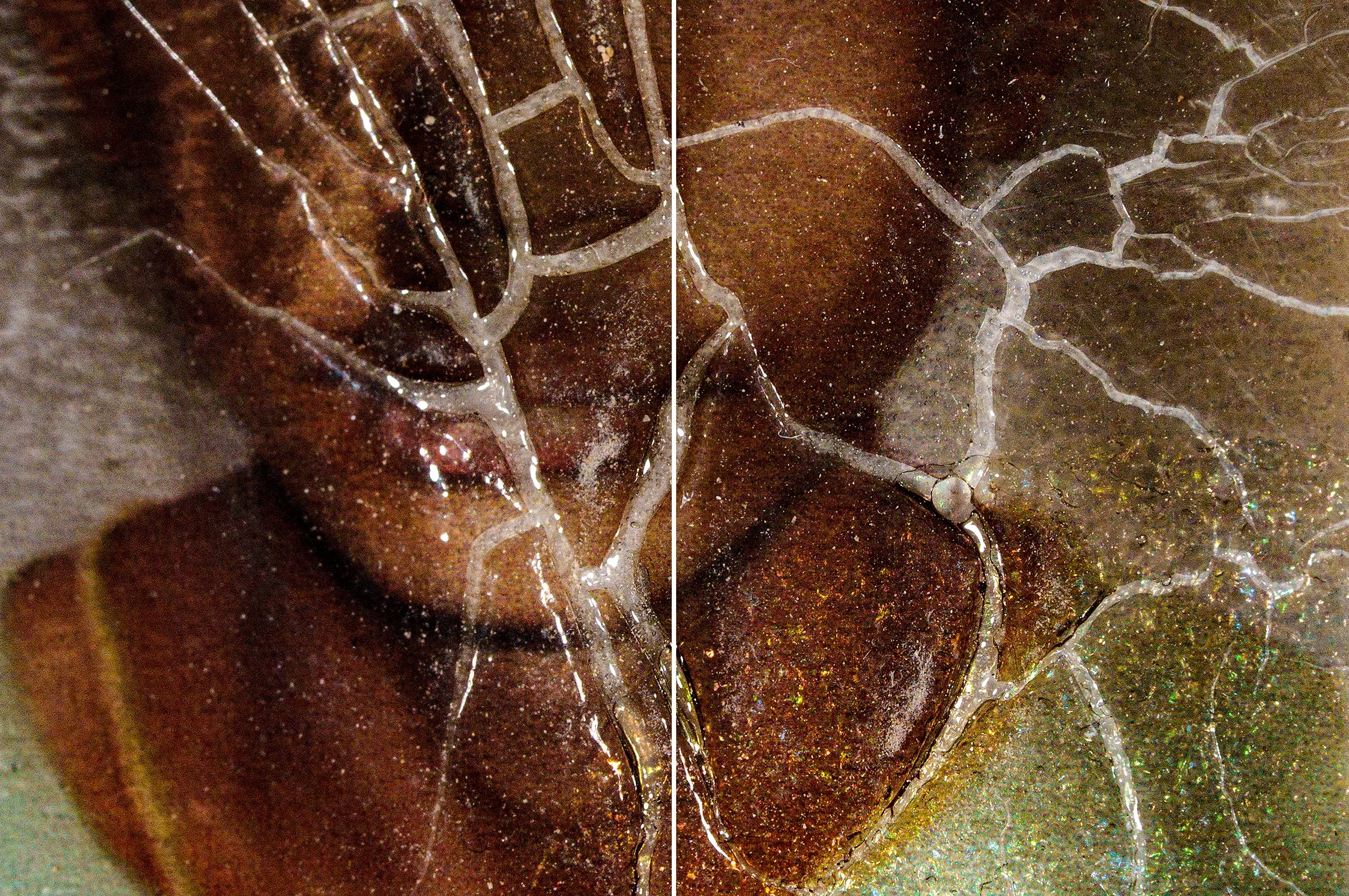 ANDRES_CABALLERO1 copy.jpg