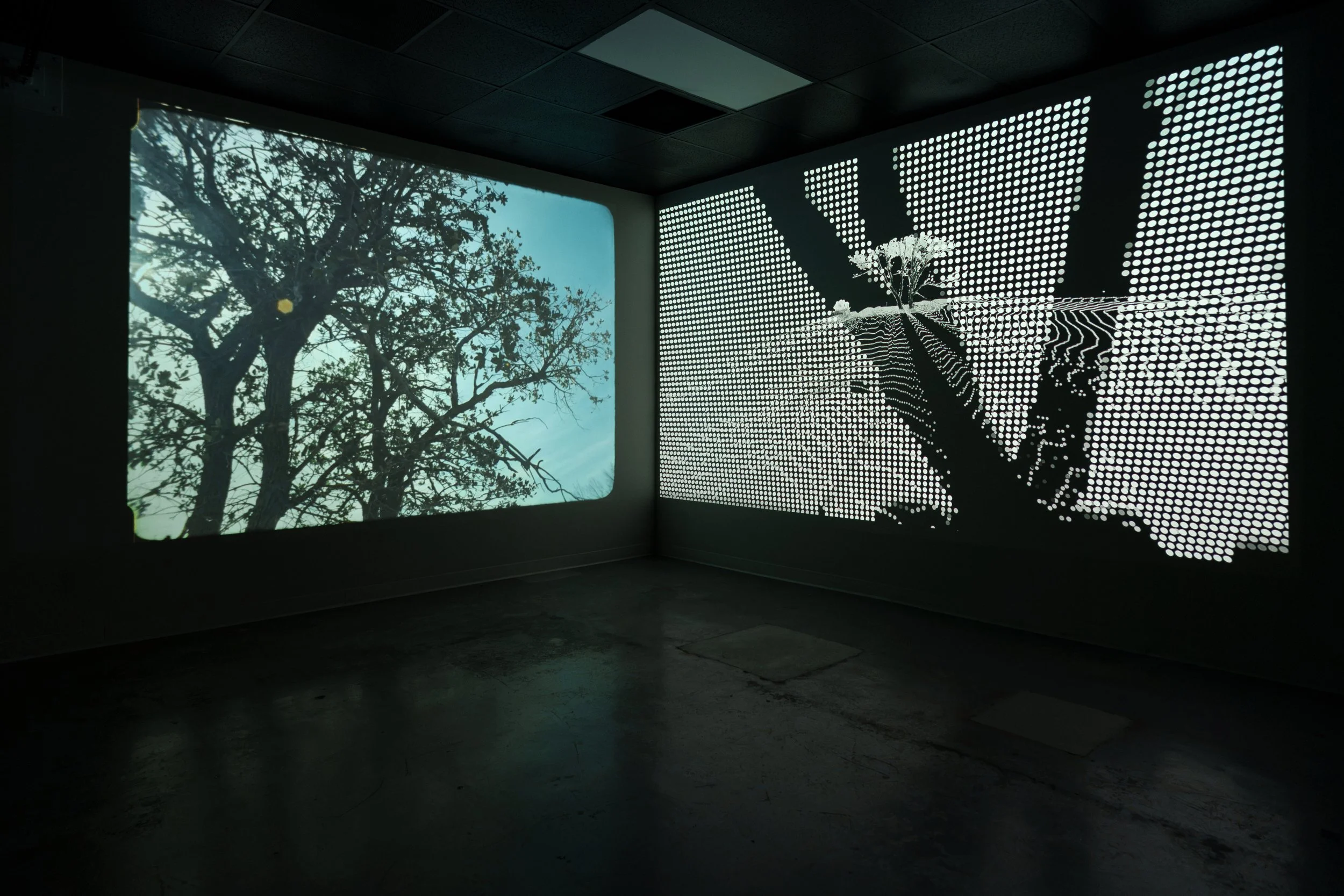 Installation view at the University of Arizona's Imaging Lab (2026)