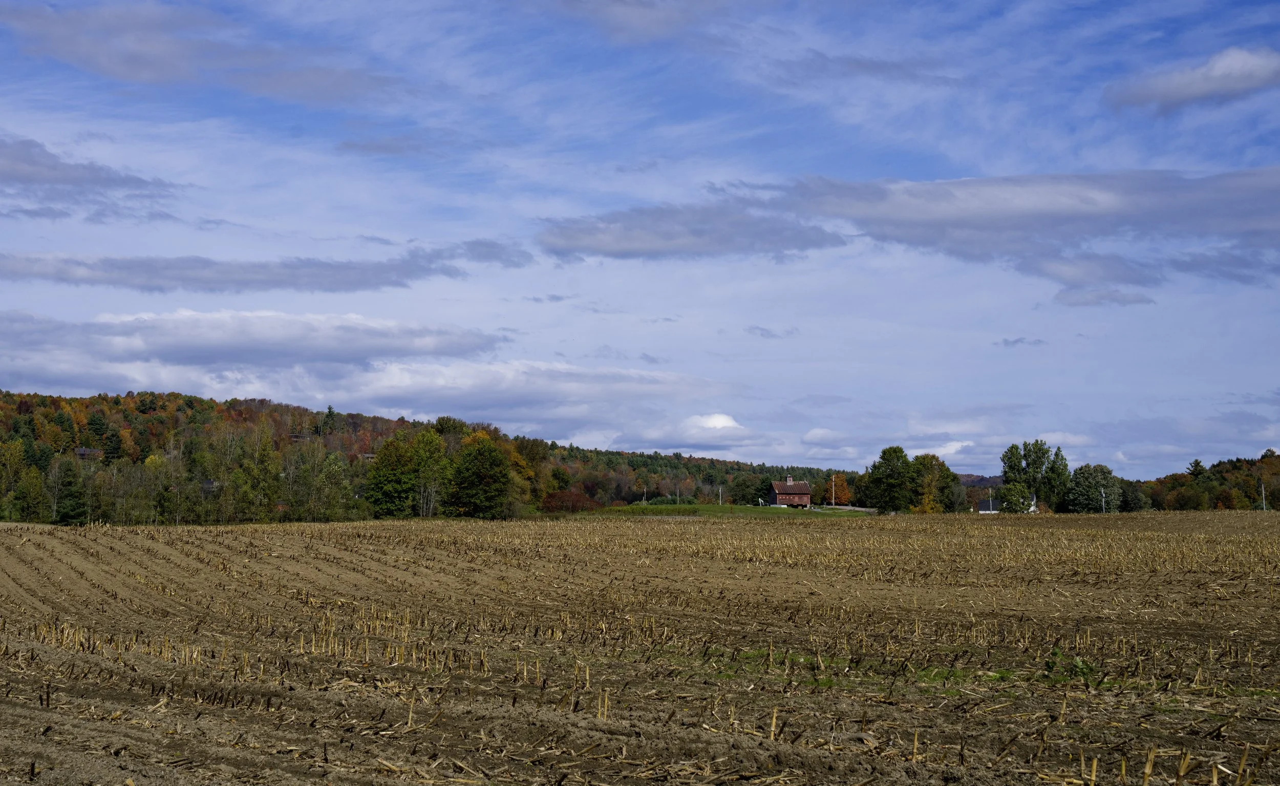 DSC00846.jpg
