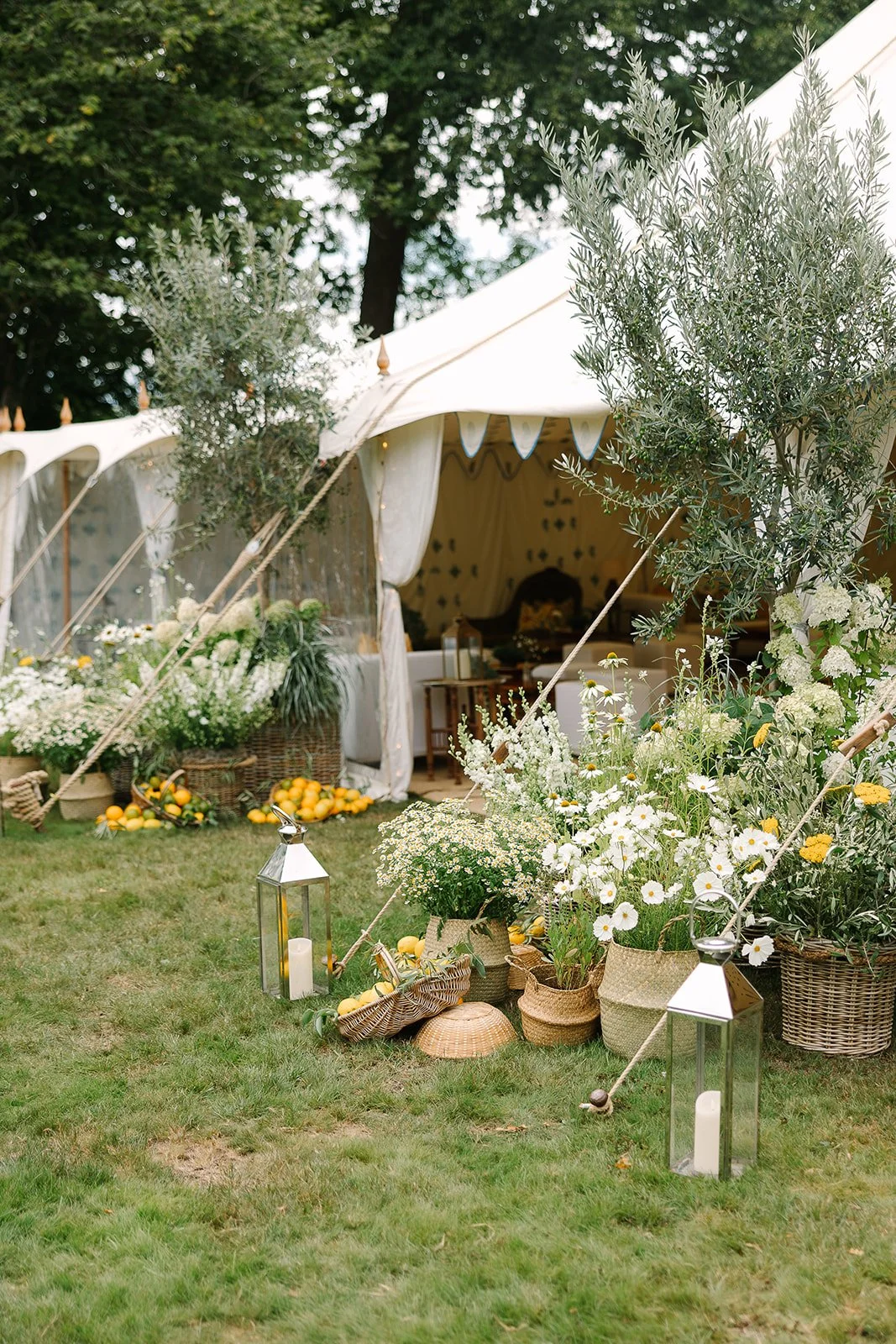 Marquee entrance wedding flowers set in te Sussex countryside wth a mediterannean influence, basket si f cut flowers nd olive trees decorate the marque enetrance