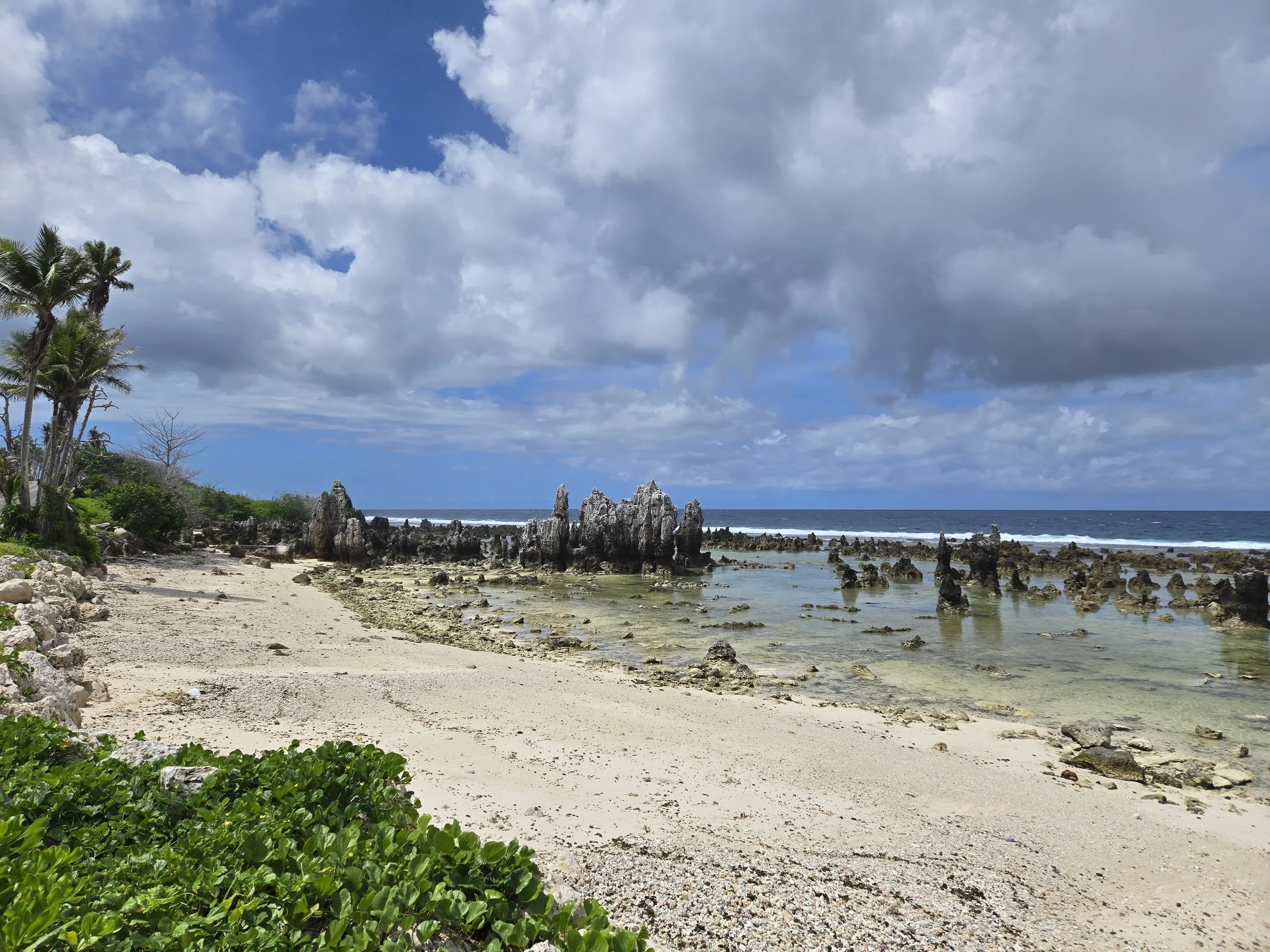 Raised-atoll coastline in Nauru assessed as part of the CARE4N coastal resilience project