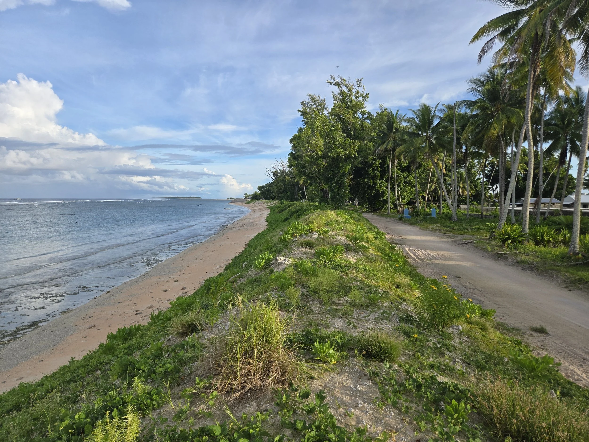 Vegetated Berm Top Barrier extending along the coastline of Nanumea, Tuvalu.