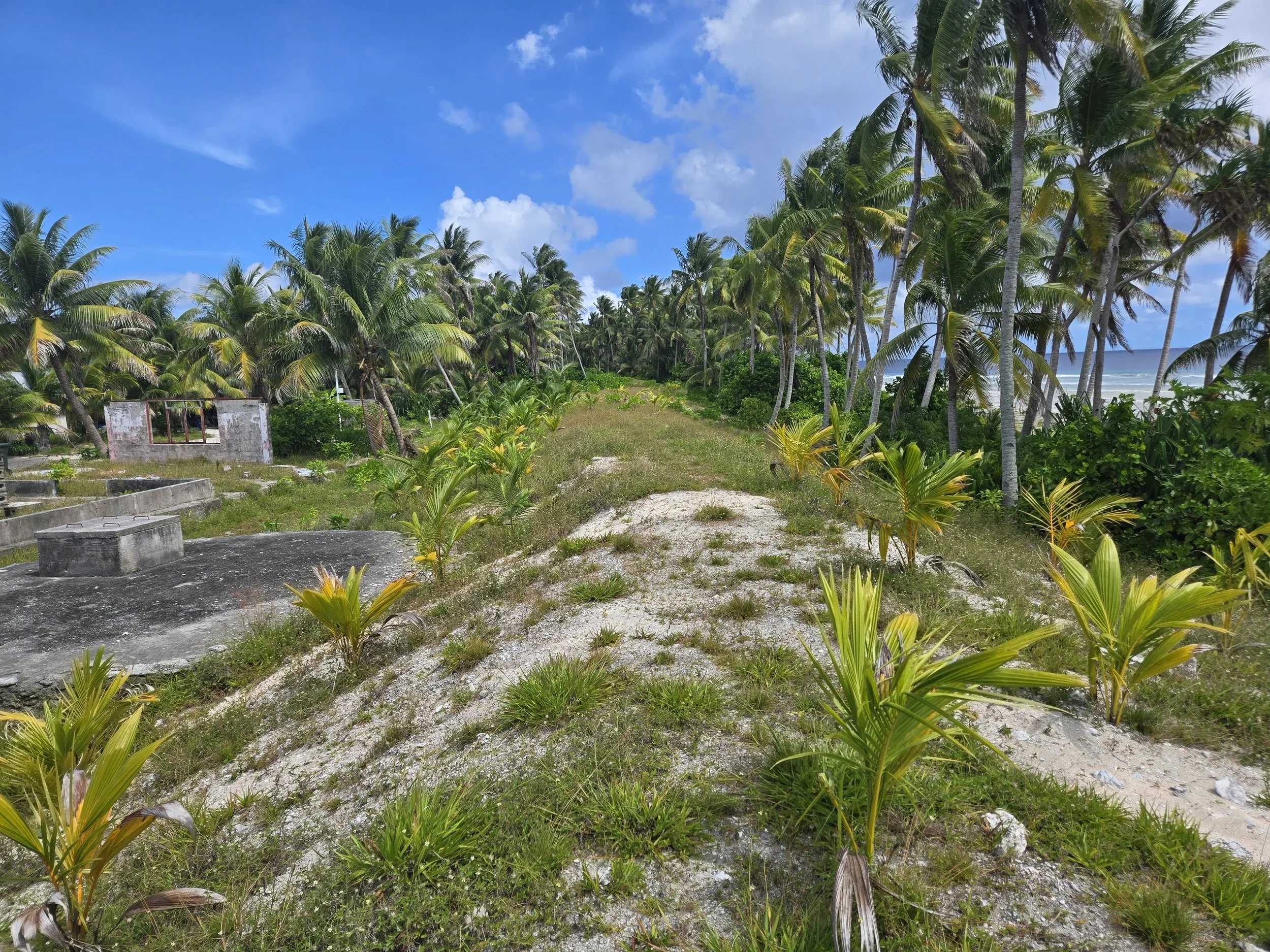Vegetated Berm Top Barrier forming part of the completed coastal protection works on Nanumaga, Tuvalu.