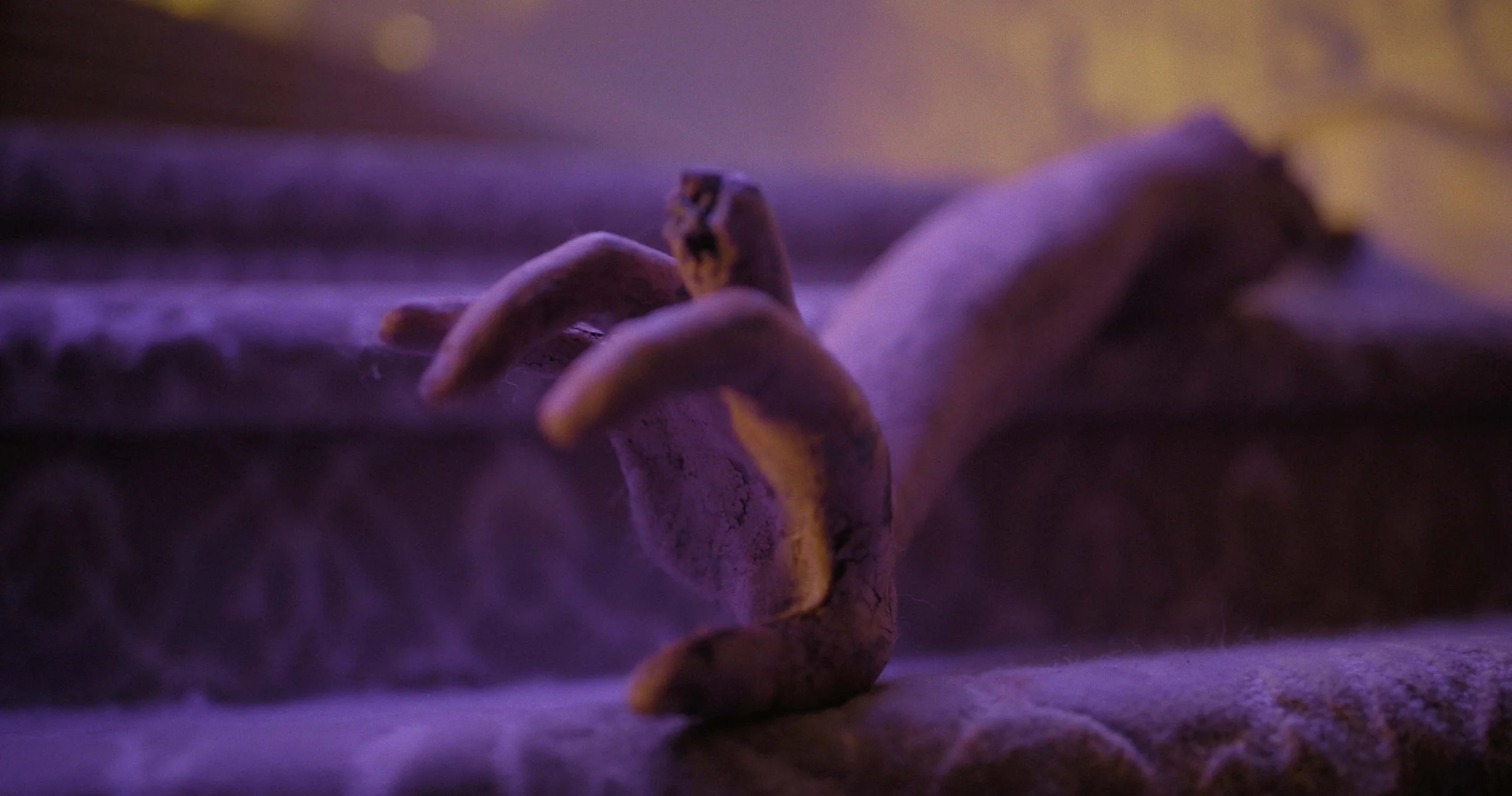 Screen Shot 2023-06-05 at 4.03.31 pm_Web.jpg