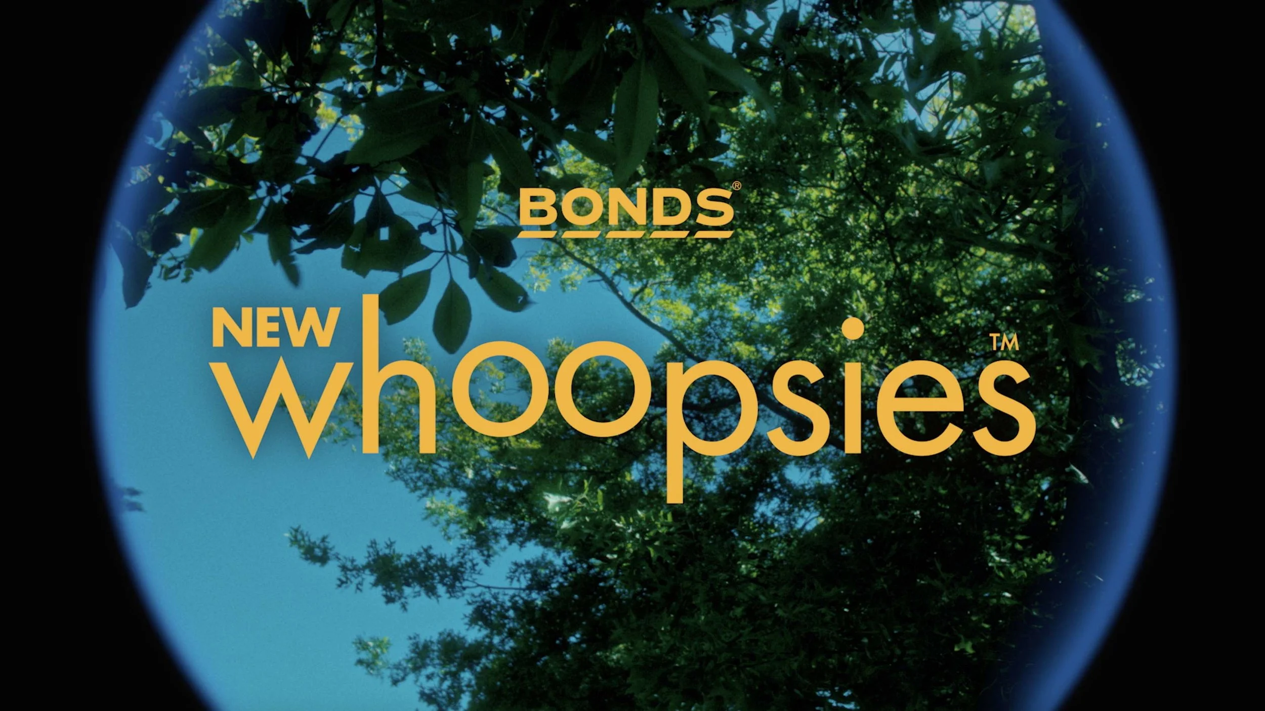 Screen Shot 2023-09-08 at 6.05.43 pm_Web.jpg