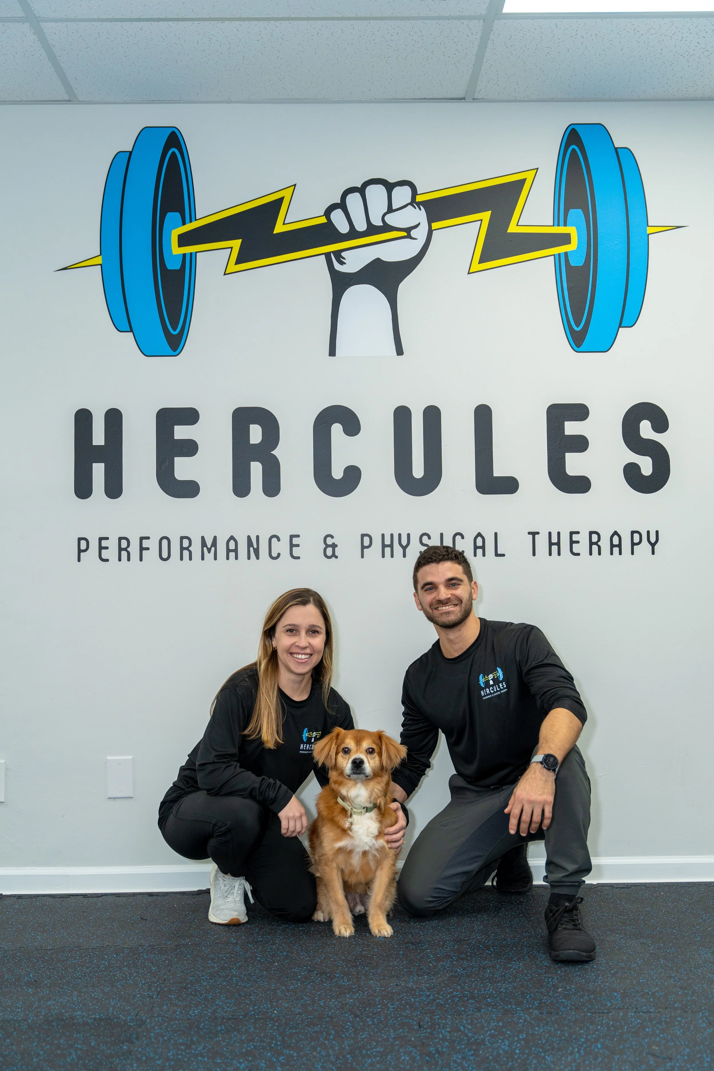 Meet the Hercules PPT Team