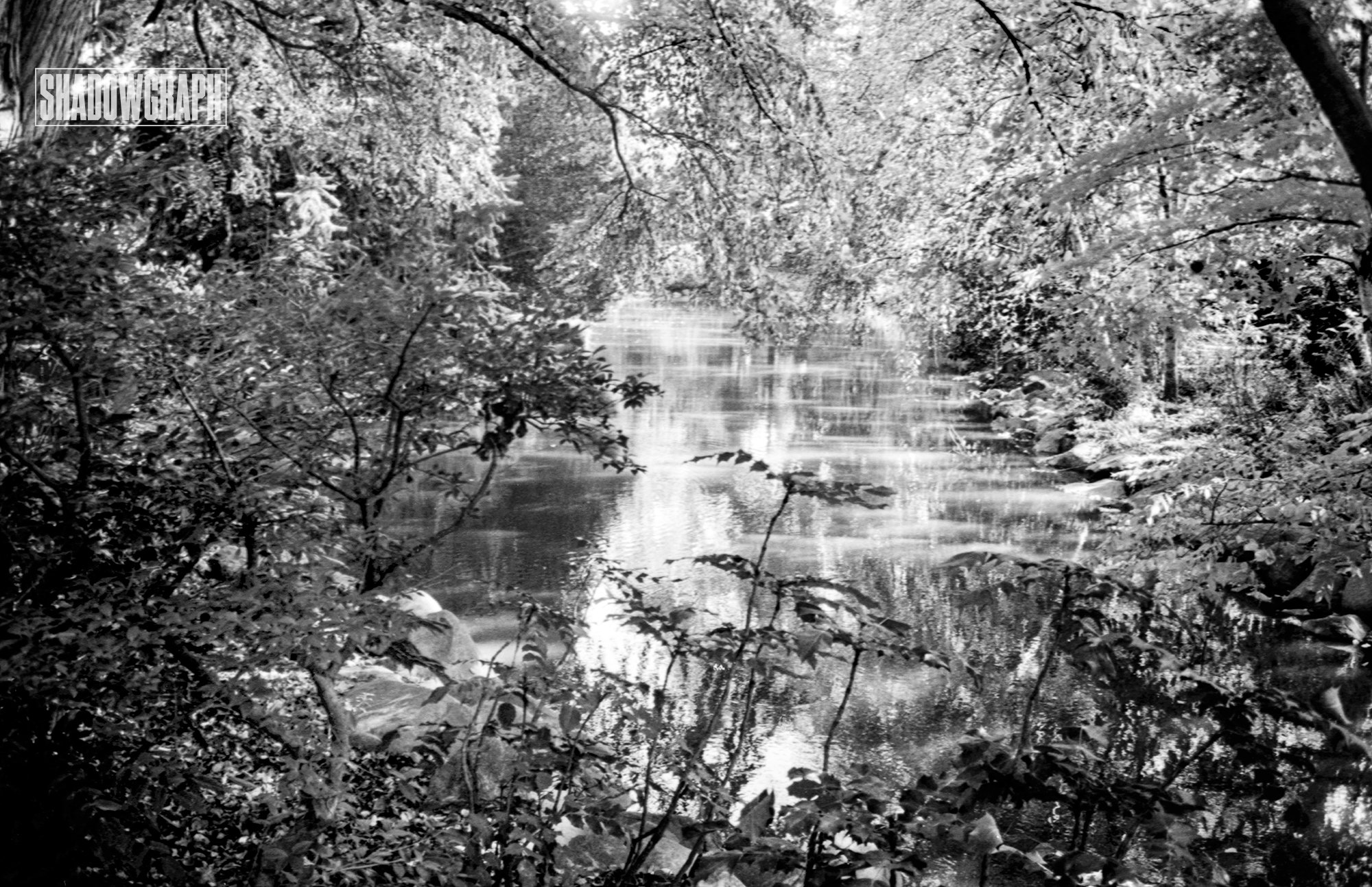 silver_water_watermark.jpg