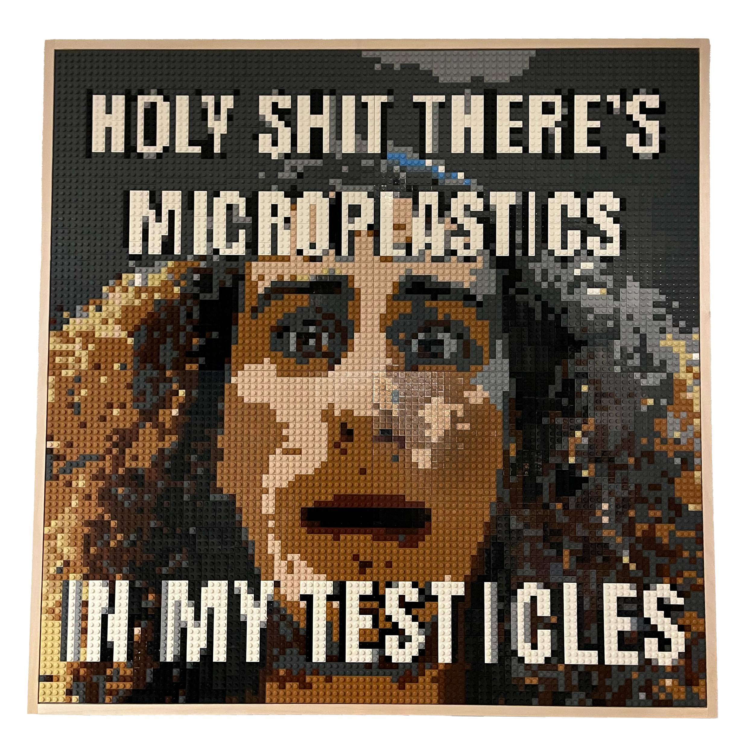 microplastixxxx.png