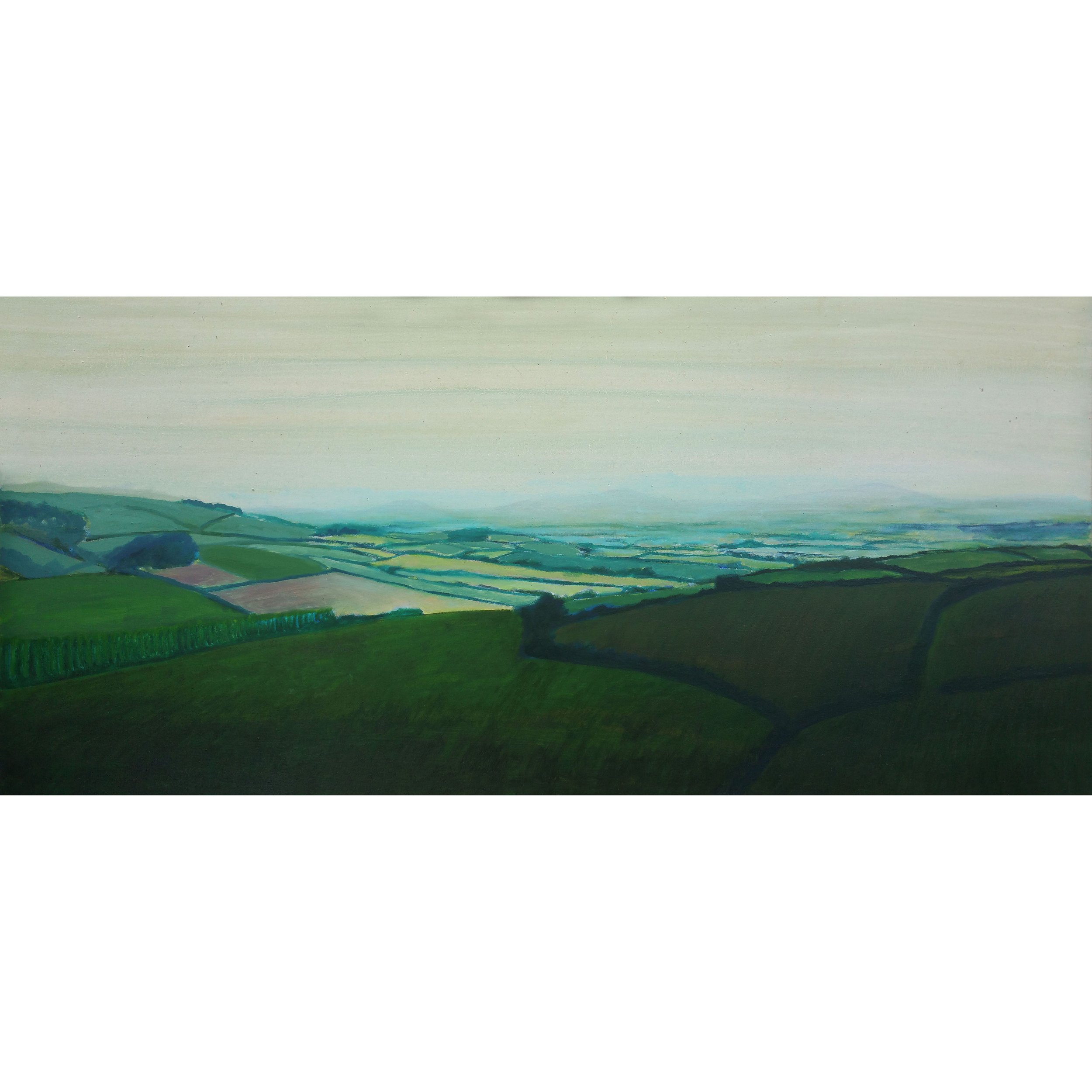 Kit Glaisyer View across the Misty Marshwood Vale square.jpg