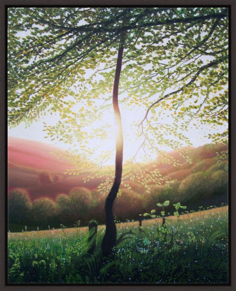 Lewesdon Tree Brown Wenge stain framed canvas print 40 x 50cm.jpg