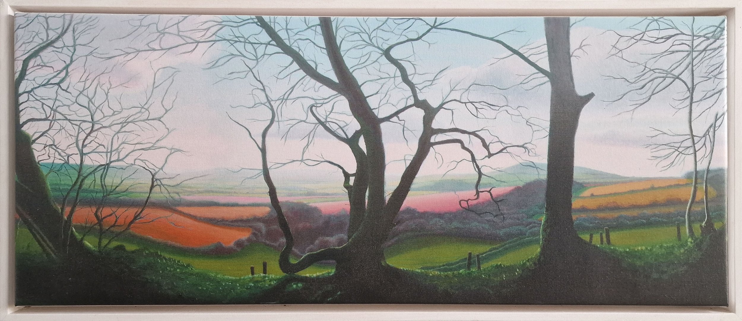 Lewesdon View framed.jpg