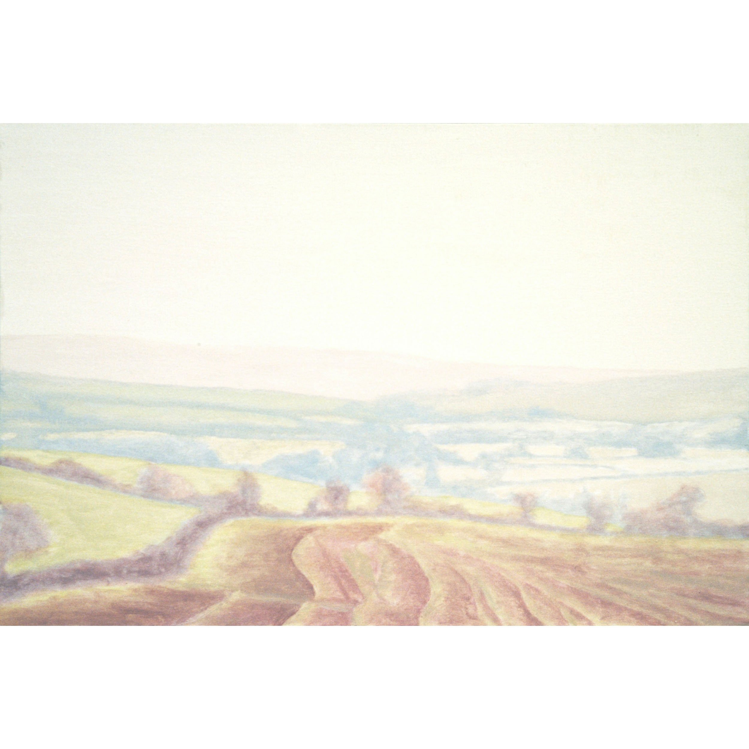Bride misty landscape square 2500.jpg