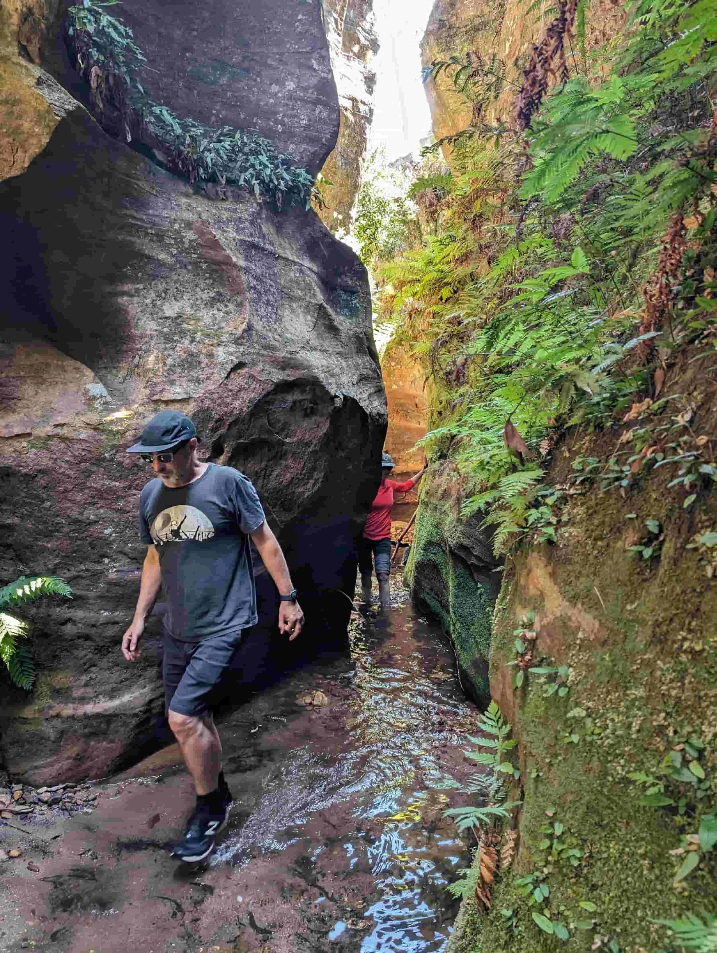 Couple walking through Wollangambe Walk
