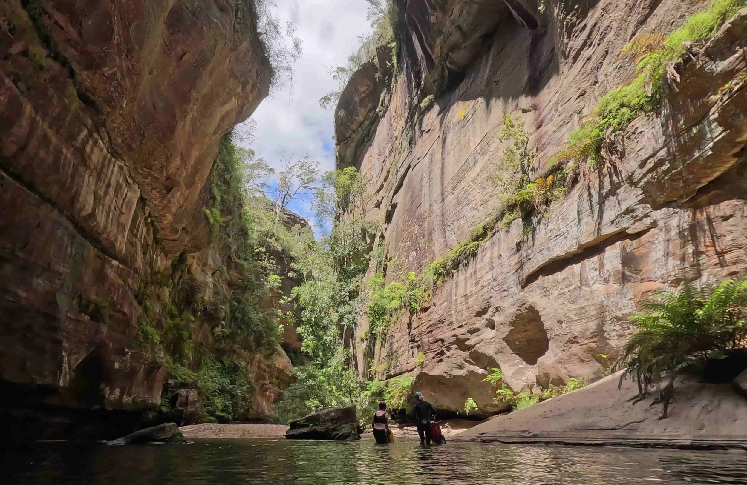Magnificent Wollangambe 2 Canyon.jpg