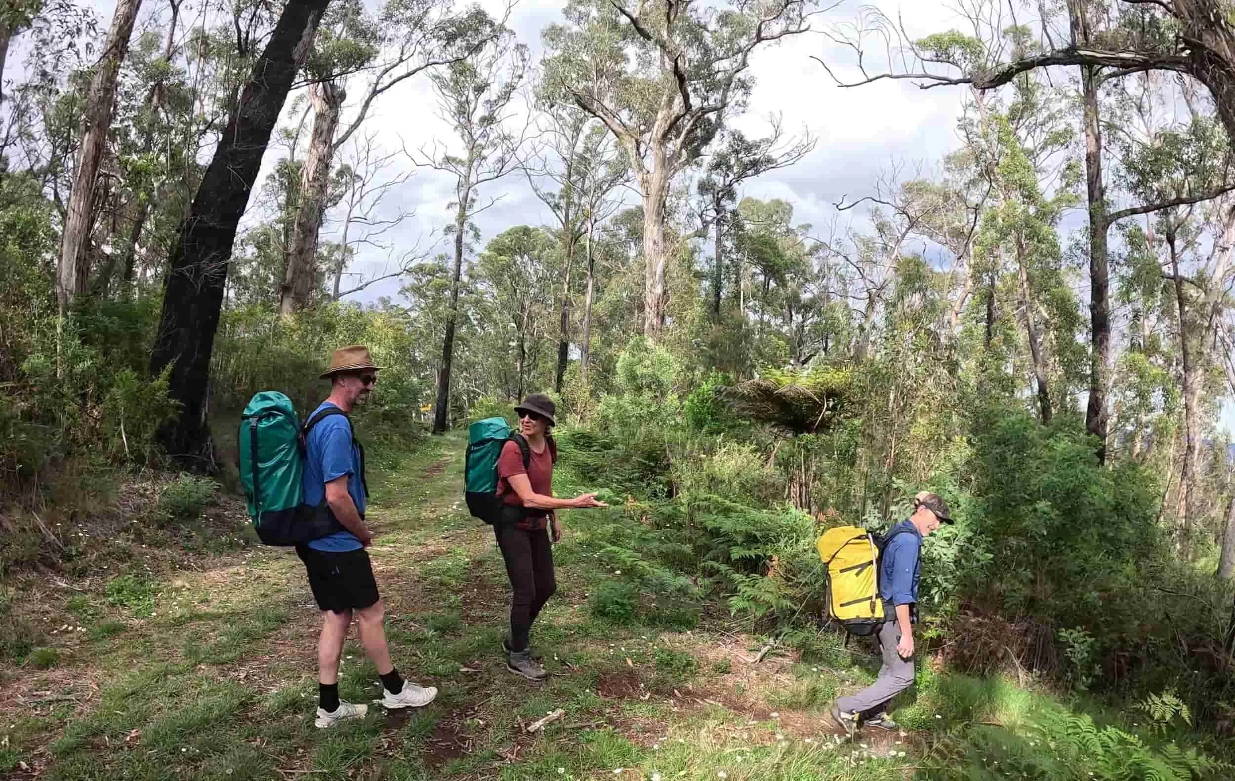 Three hikers walking through a forested trail, with two men and one woman, carrying backpacks and wearing hats.