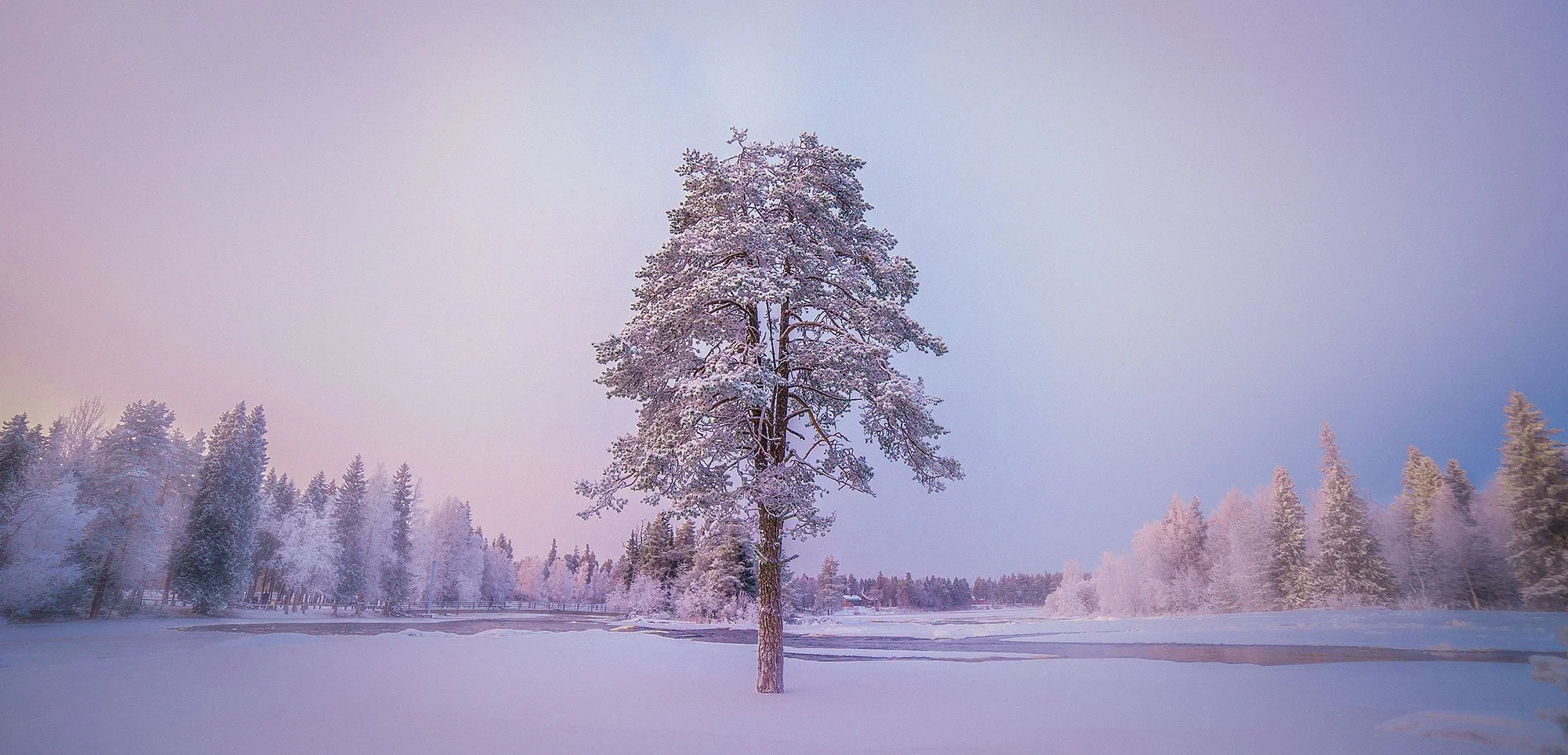 Winter wonderland -Kiiminki, Finland