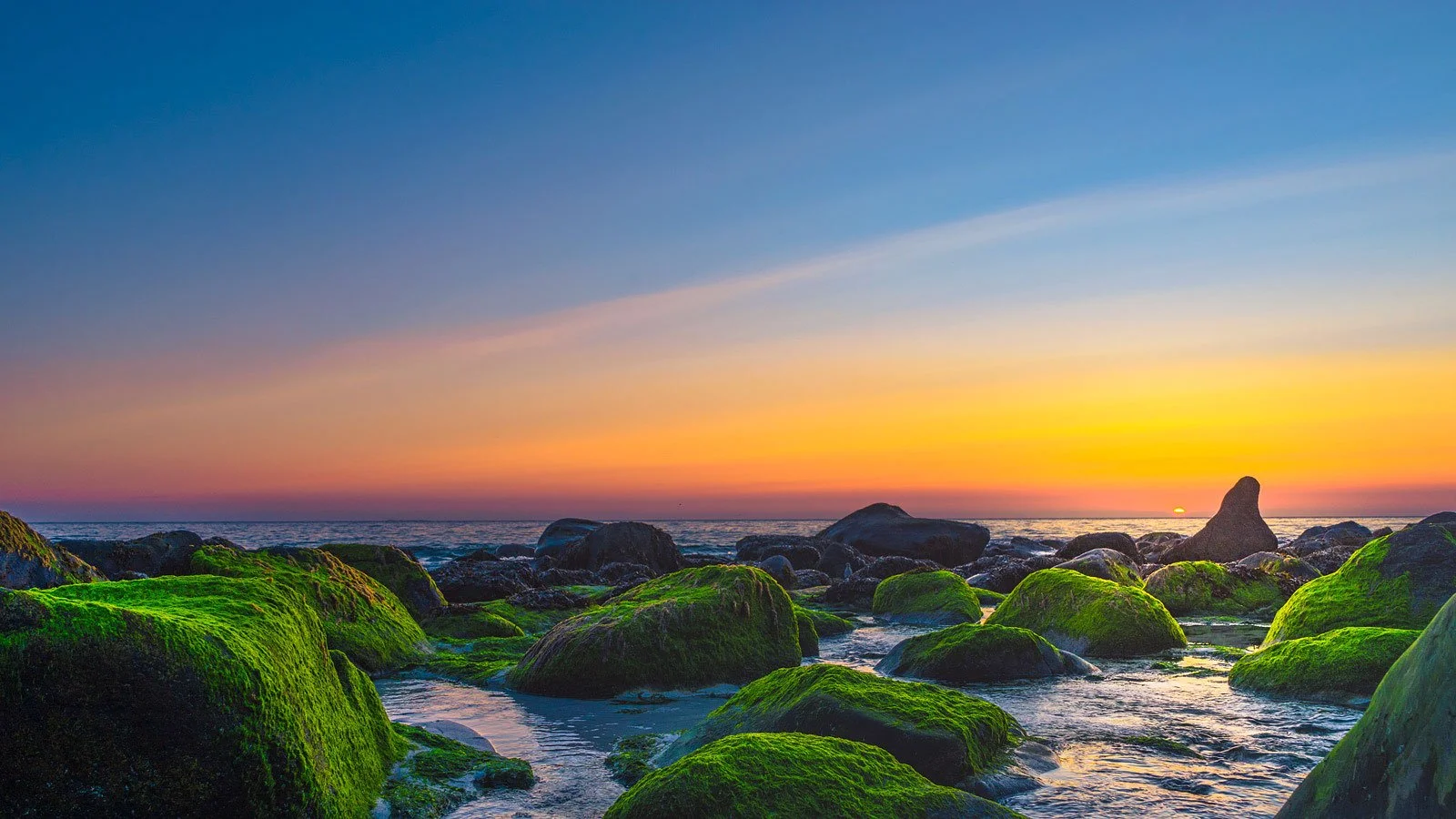 Mossy rocks -Lofoten, Norway