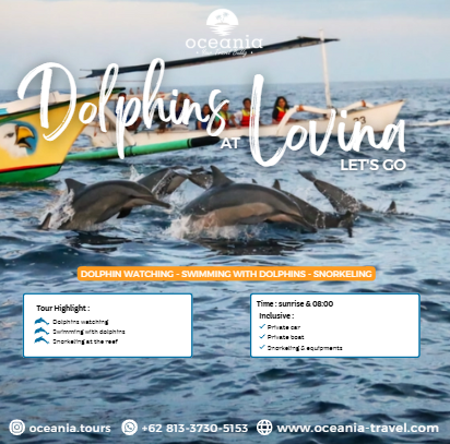 Dolphin watching at Lovina - Oceania Tour