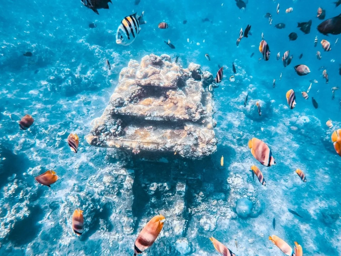 Discover Bali’s Eastern Coast : Amed