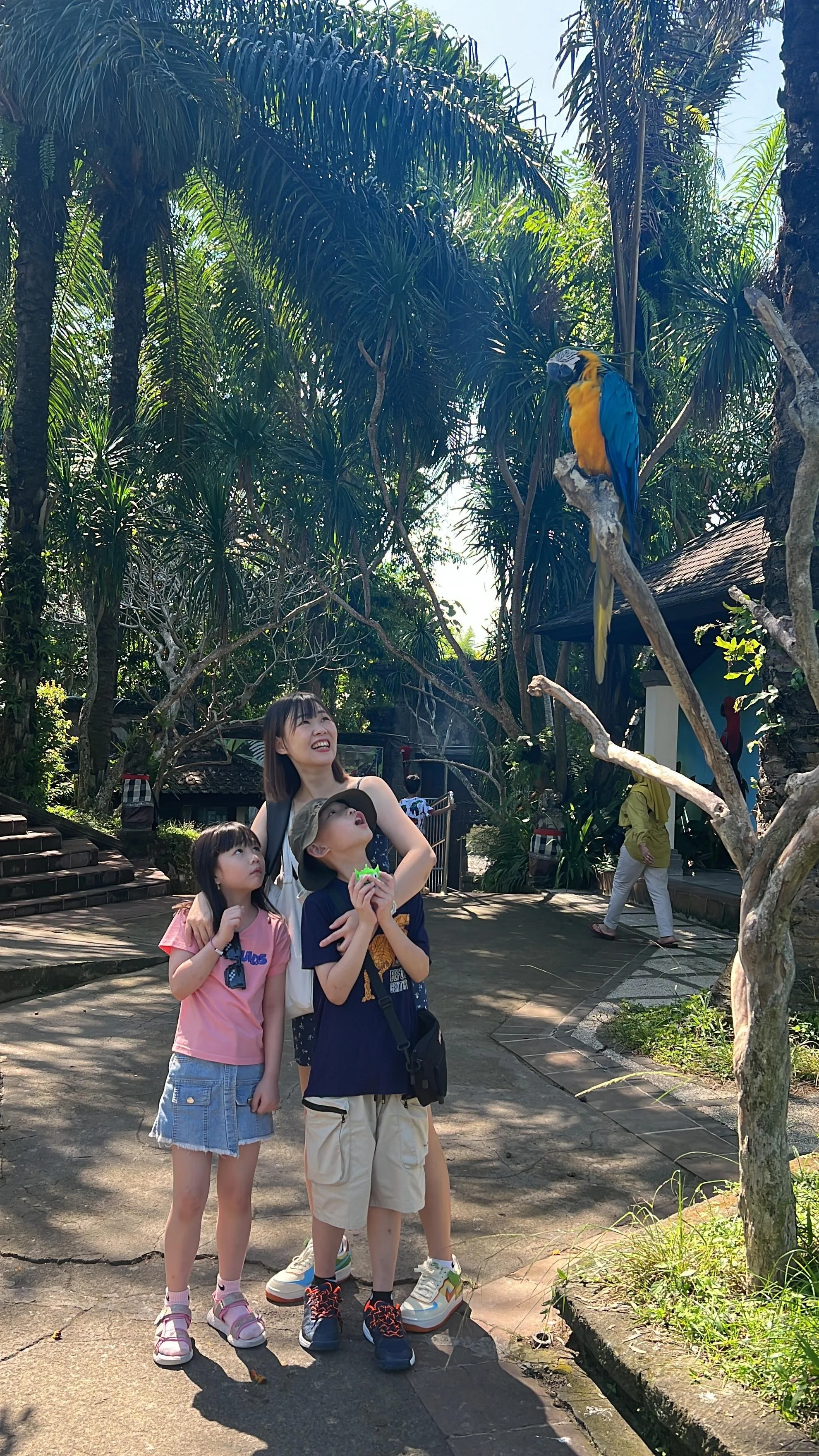 Bali Bird Park  (2).jpg